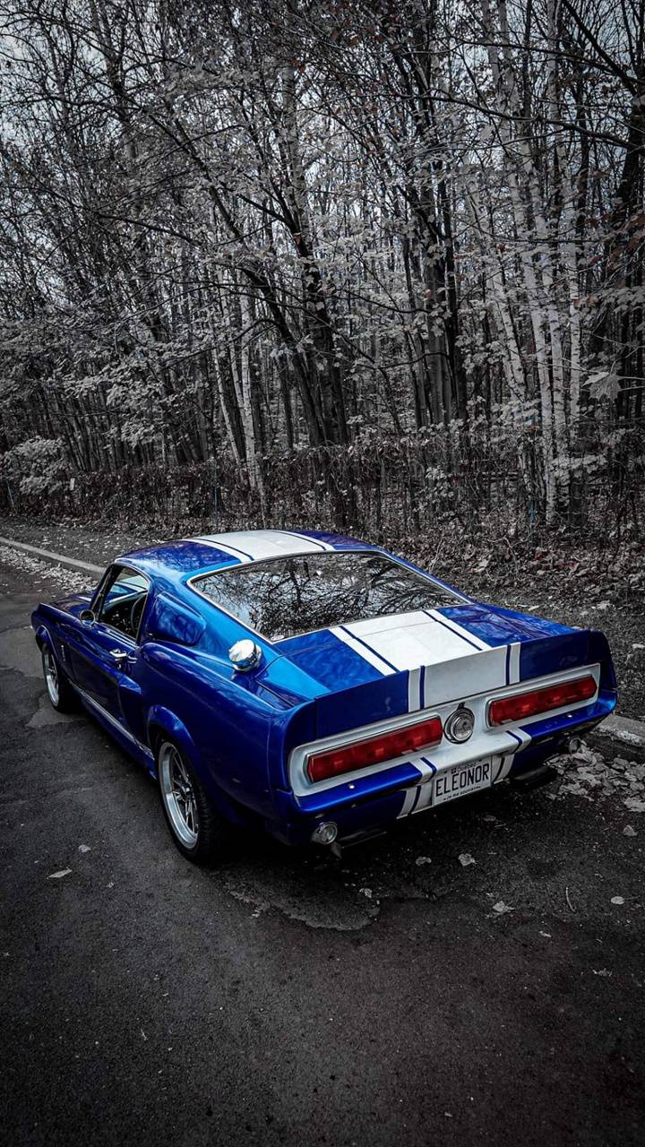 720x1280 Shelby gt500 1967 wallpaper