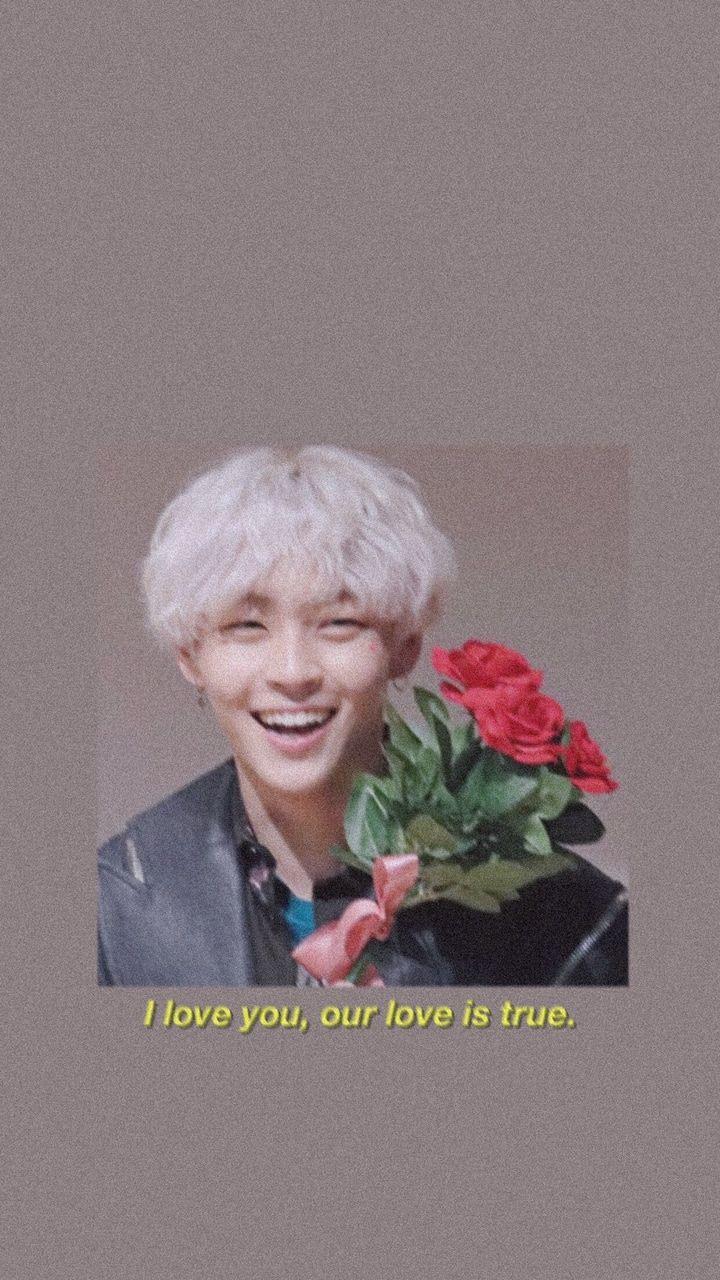 720x1280 iiiui, beige, black rose and low quality