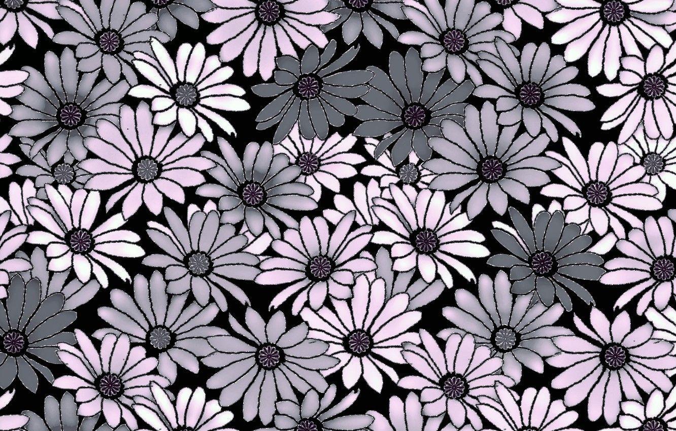 Grey Flowers Wallpapers - Top Free Grey Flowers Backgrounds