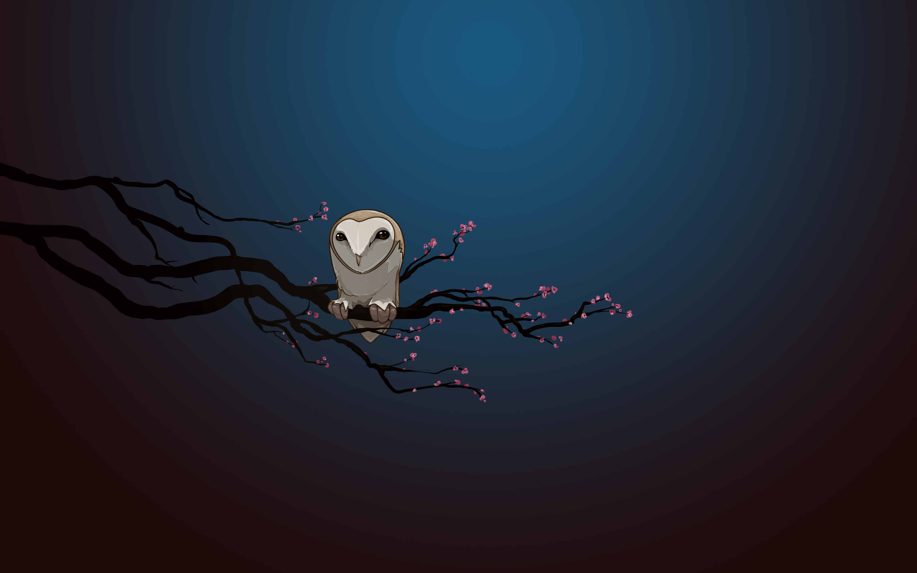 Night Owl Cartoon Wallpapers - Top Free Night Owl Cartoon Backgrounds -  WallpaperAccess