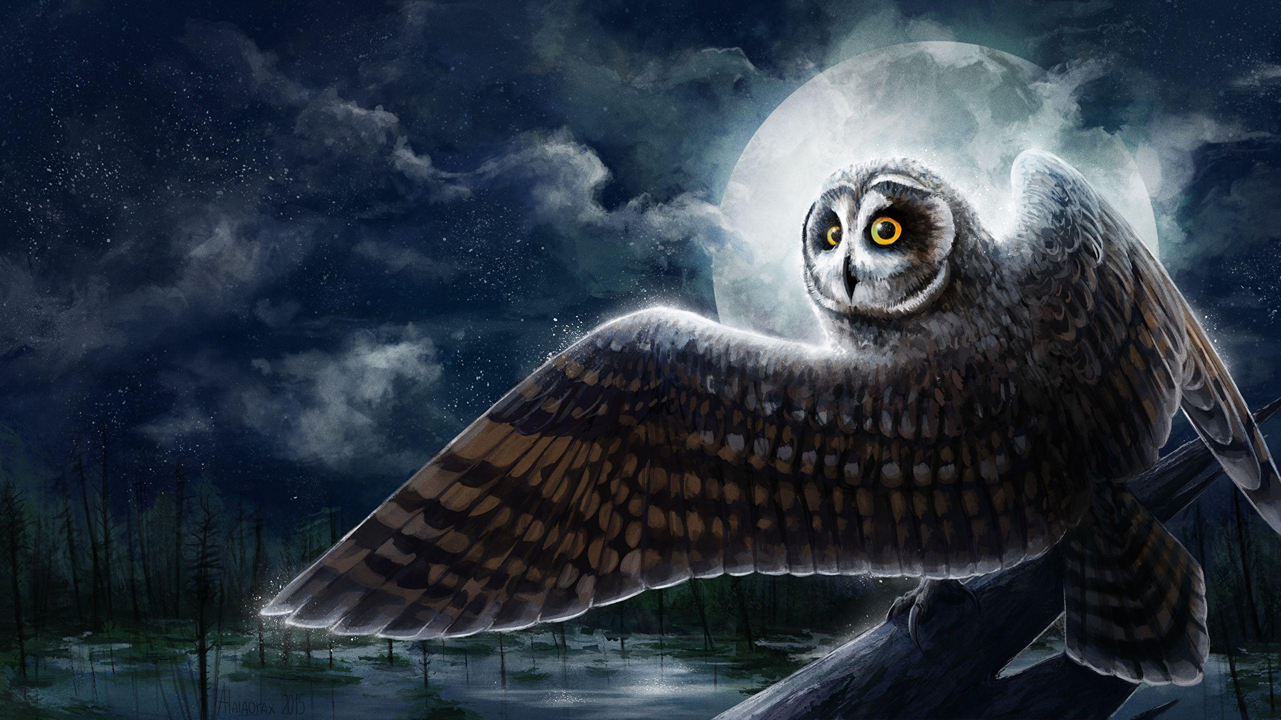 2560x1440 Photo owl bird Wings Moon Night Animals Painting Art 2560x1440