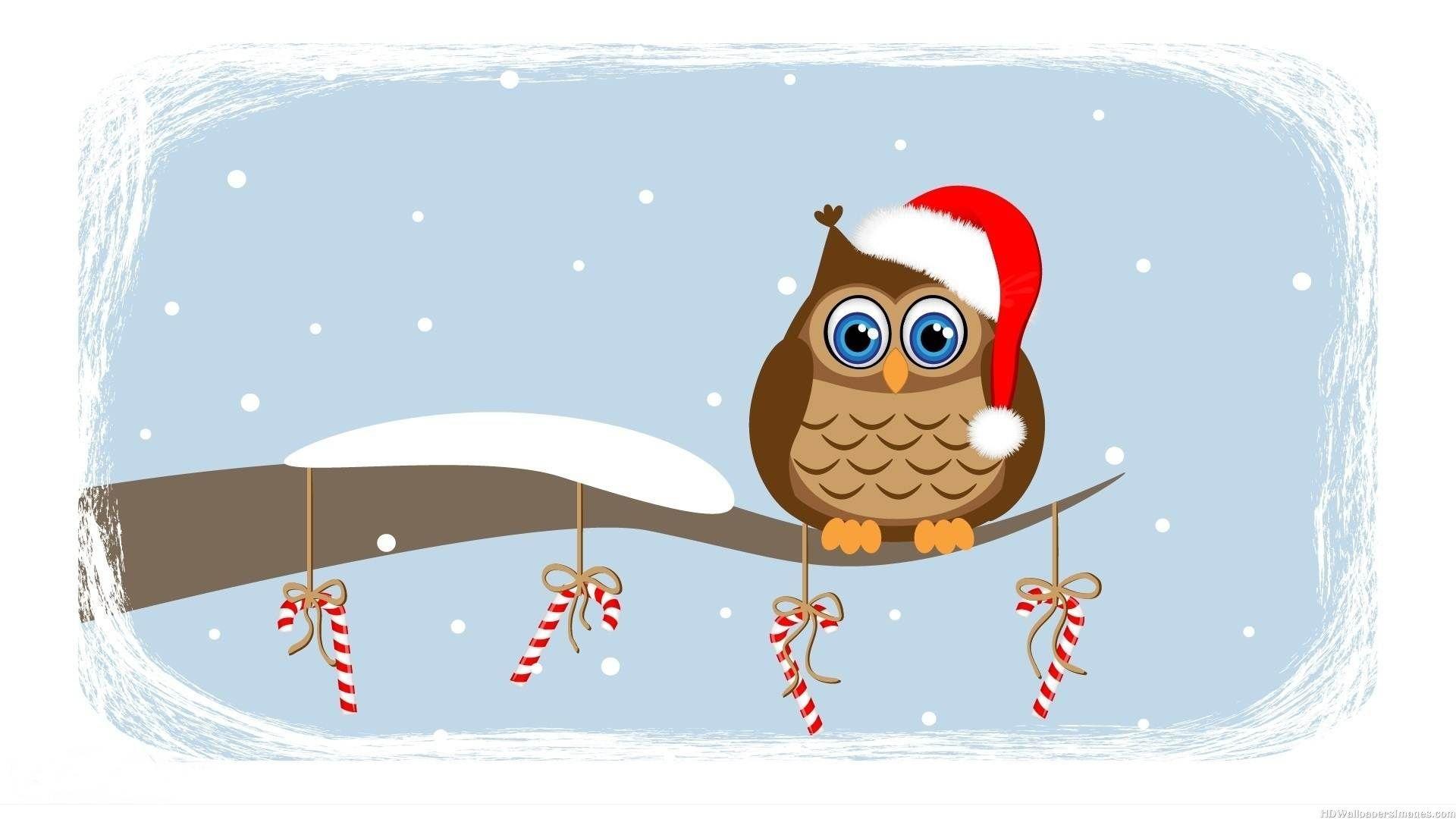 1920x1080 cute christmas owl background