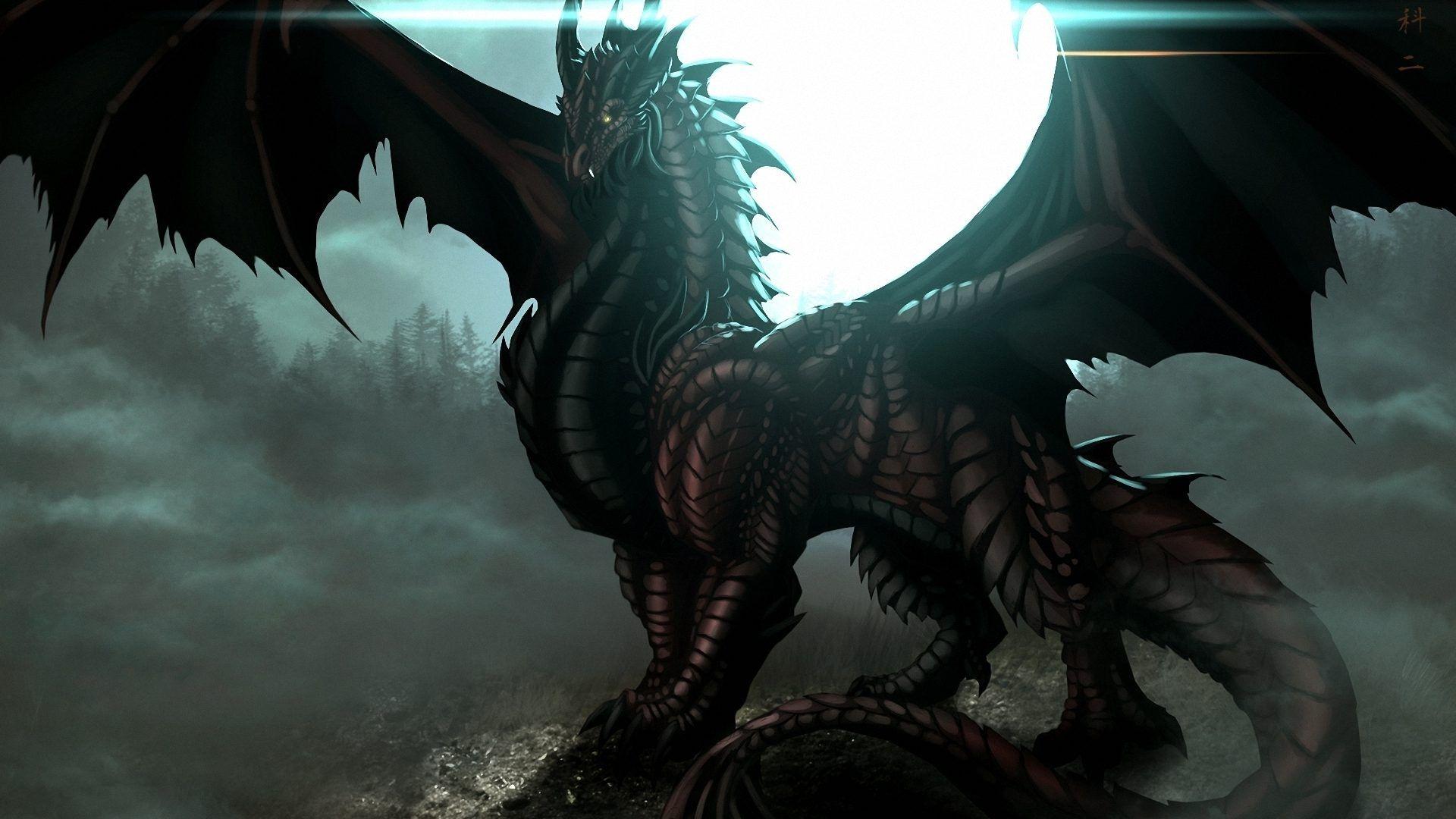 1920x1080 The Black Dragon HD Wallpaper