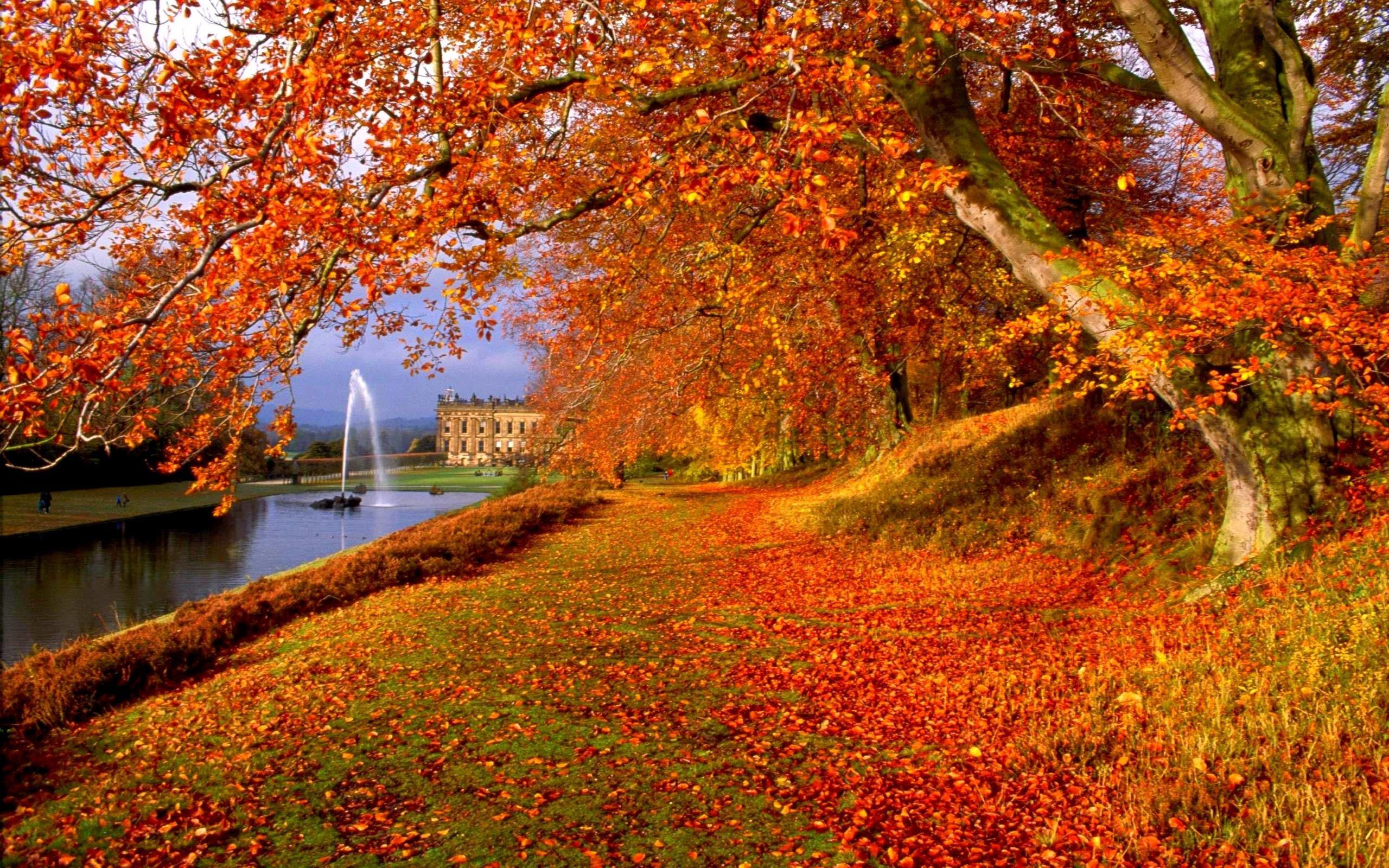 2560x1600 Fall Autumn Wallpaper