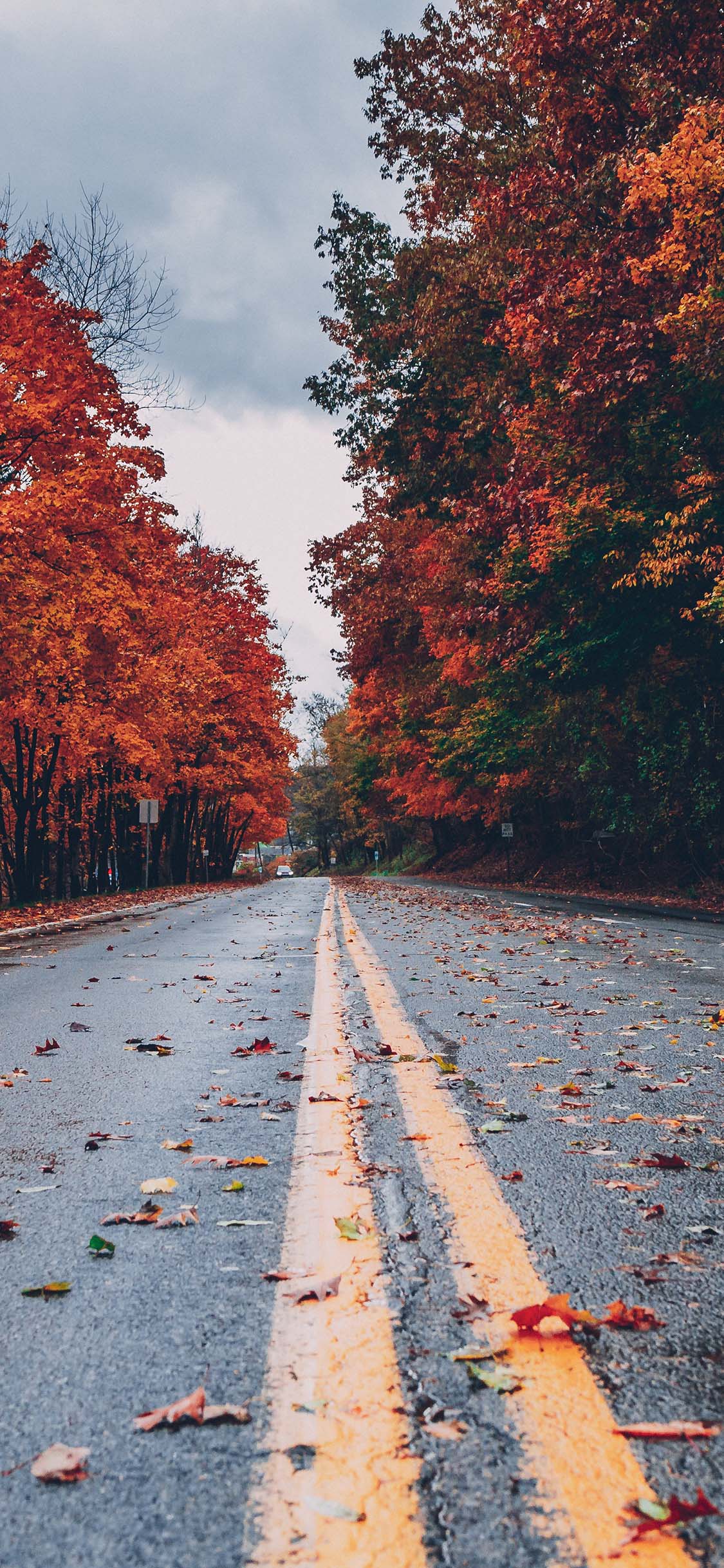 1125x2436 Wallpaper Fall