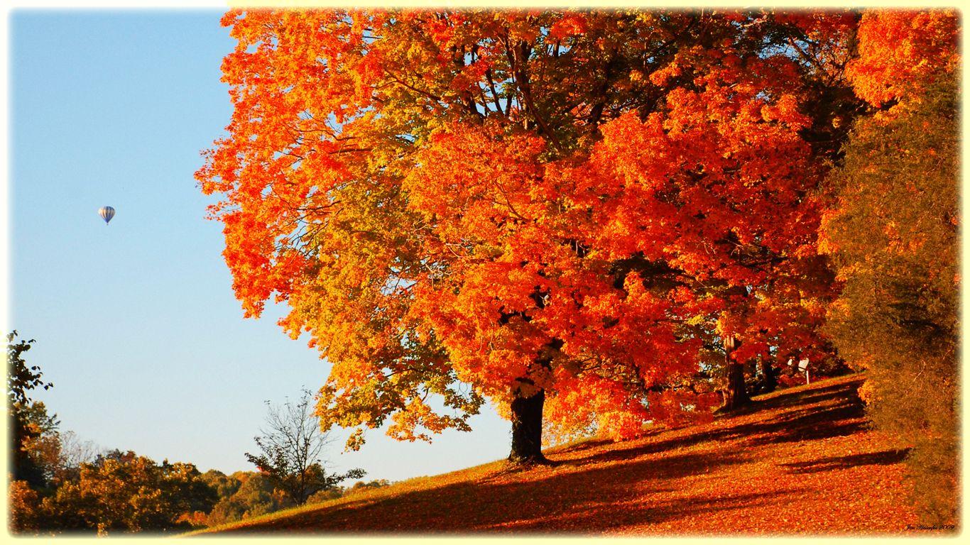 1366x768 PC Fall Amazing Wallpaper (B.SCB Wallpaper)