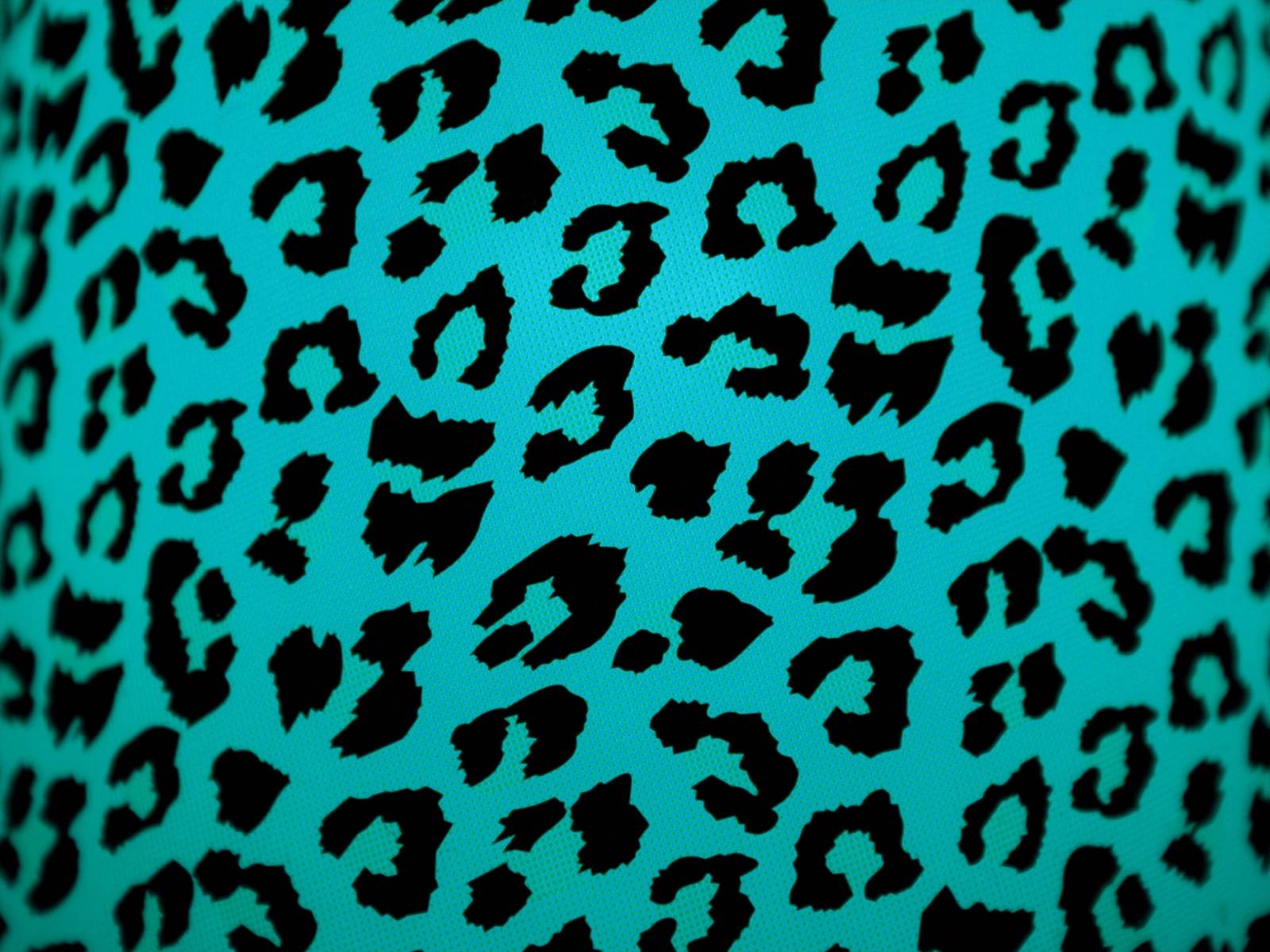 1600x1200 Animal Print Wallpaper HD