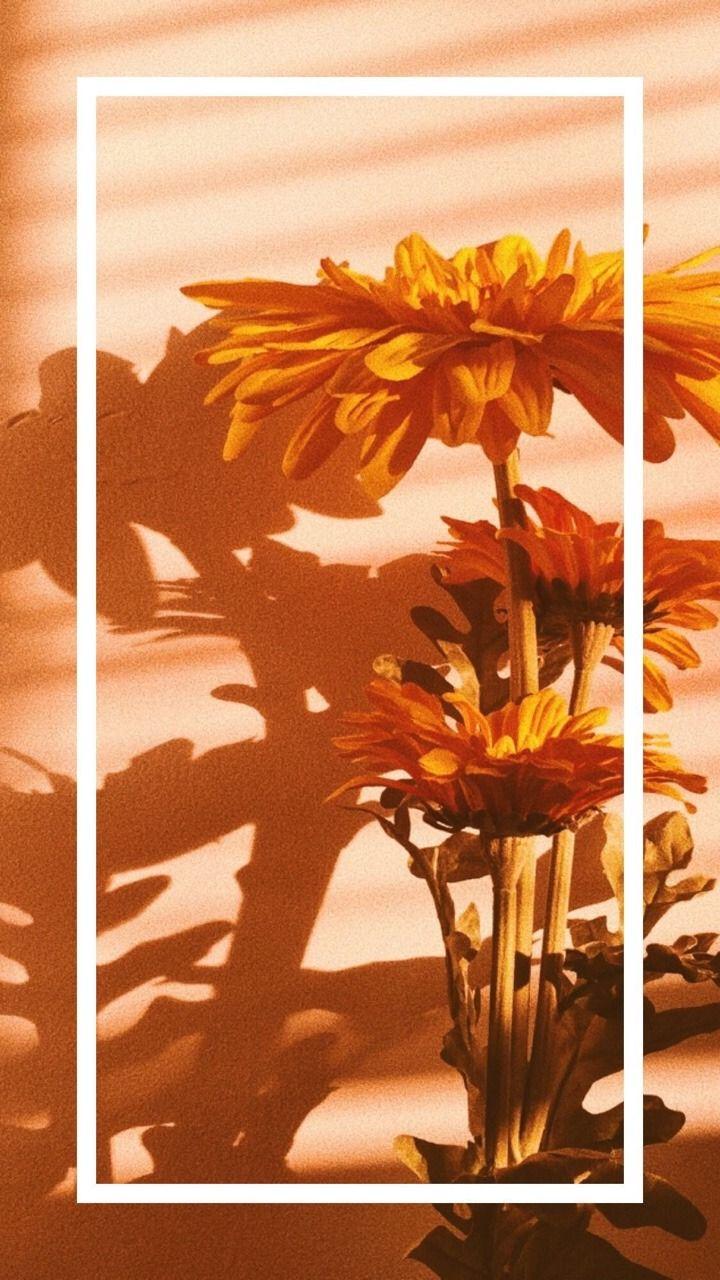 Orange Grunge Aesthetic Wallpapers - Top Free Orange Grunge Aesthetic