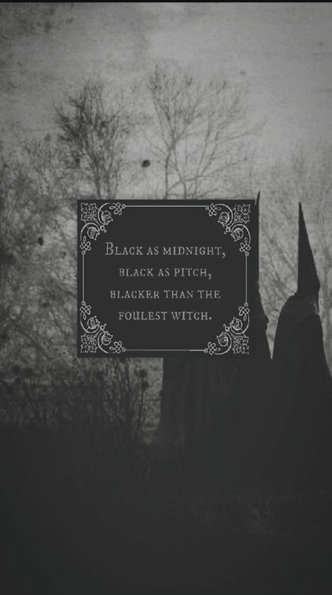 1073x1920 Witchy Desktop Background