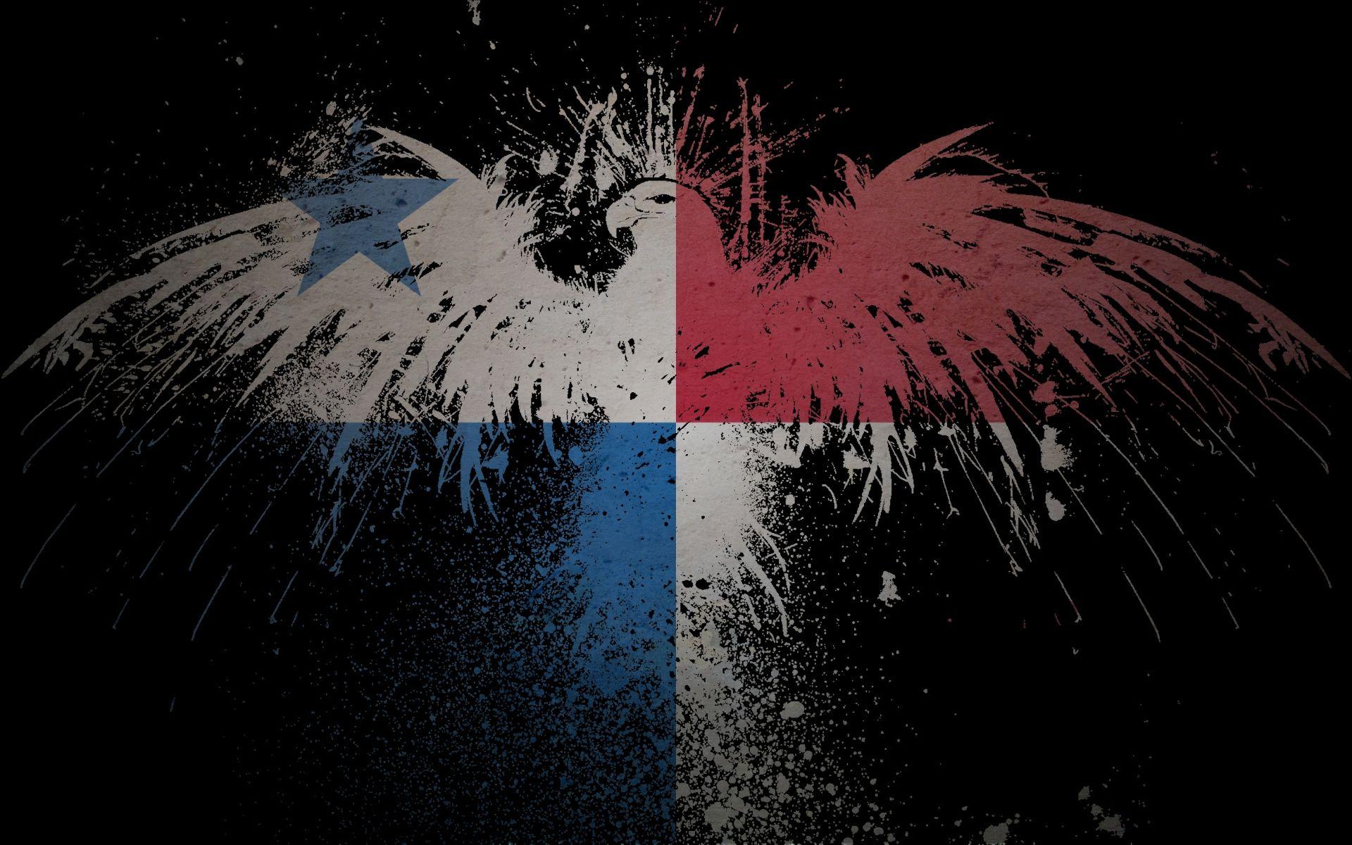1920x1200 Eagle Flag Wallpaper 1920x1200
