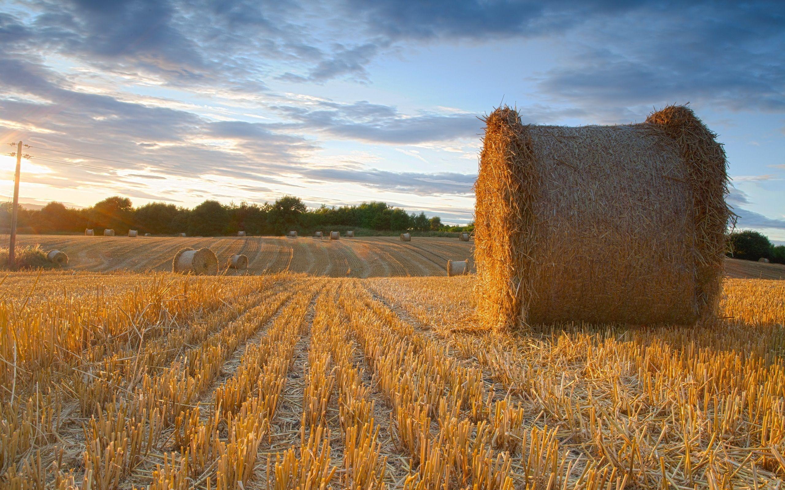 Summer Farm Wallpapers - Top Free Summer Farm Backgrounds - WallpaperAccess