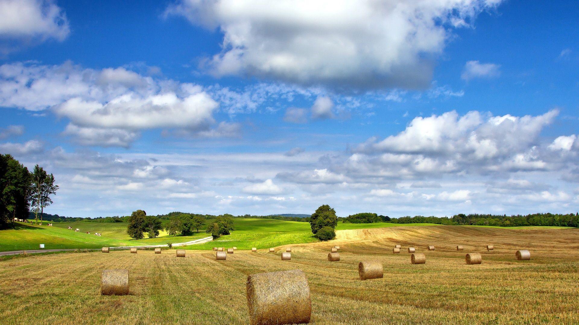 1920x1080 Wallpaper Farm field nature landscape, hay, summer, cloudy sky 1920x1080 Full HD 2K Picture, Image