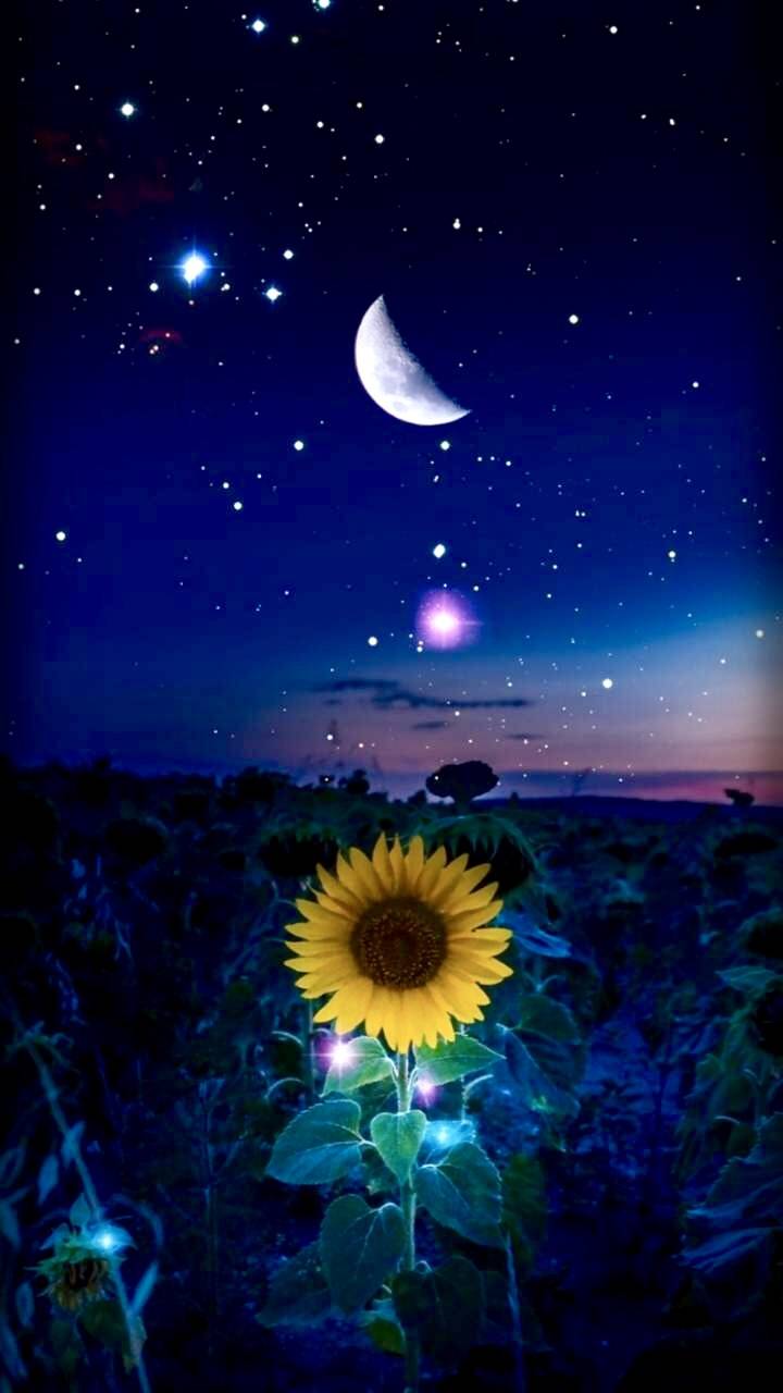 720x1280 Sun Moon Stars And Stars HD Wallpaper