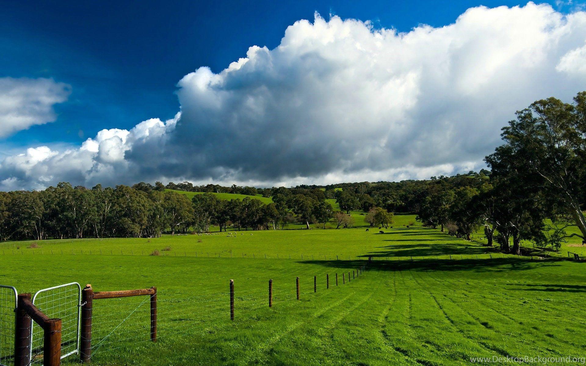 1920x1200 Summer Green Farm Wallpaper Desktop Background