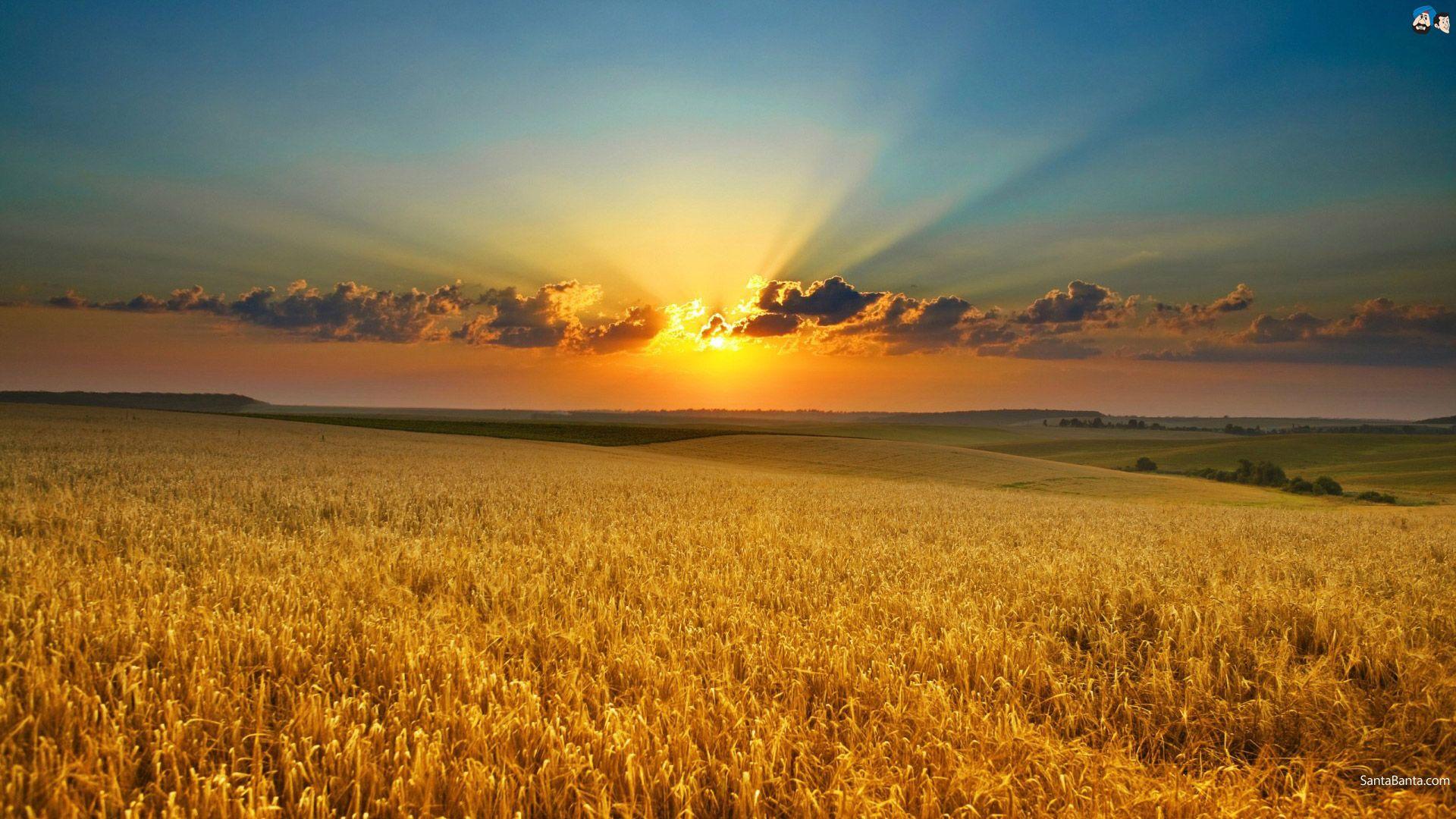 1920x1080 Farm wallpaperx1080