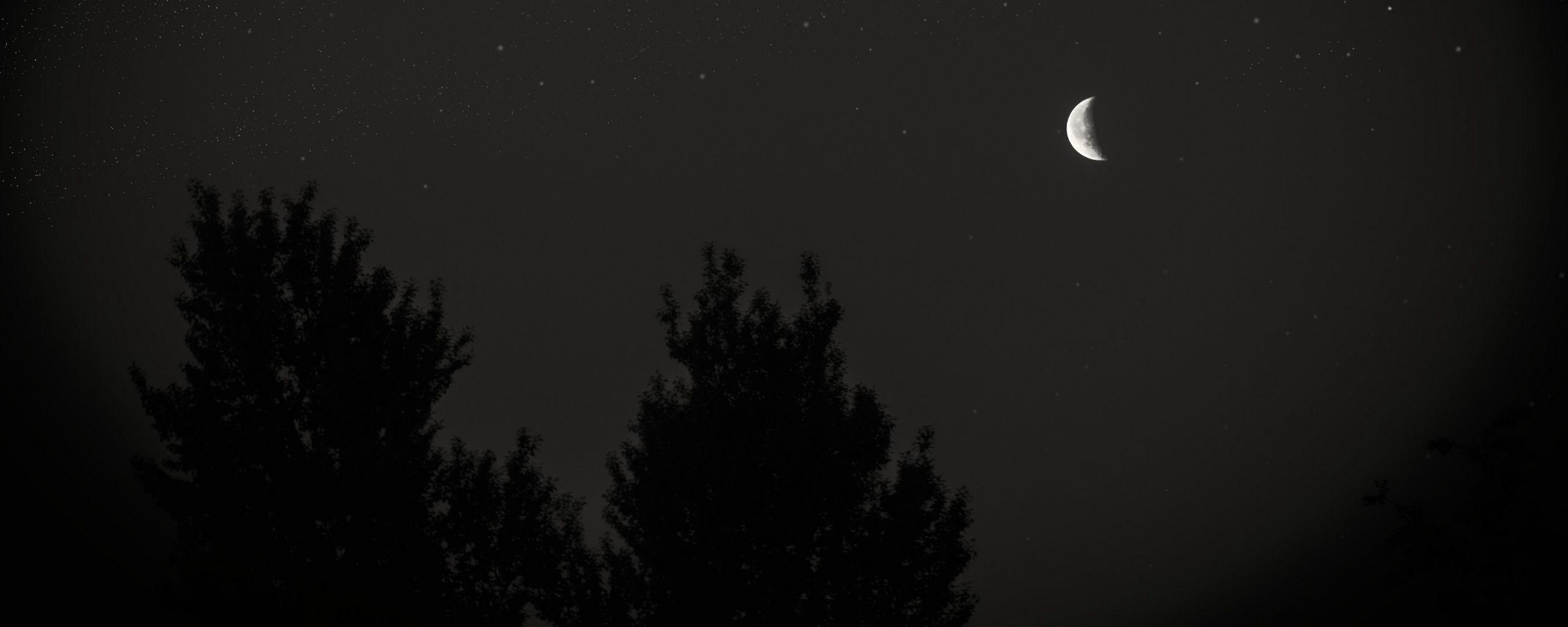 2560x1024 Download wallpaper 2560x1024 moon, night, sky, tree, stars, dark ultrawide monitor HD background