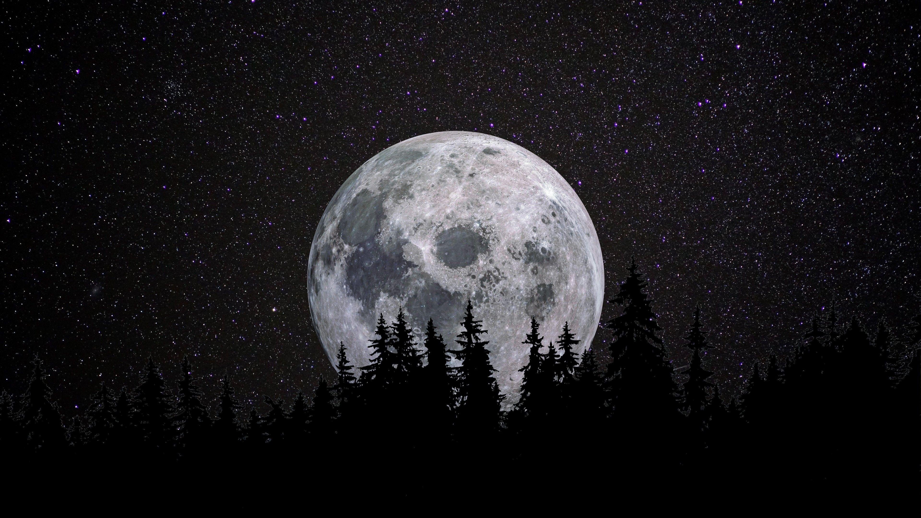 8K Black and White Wallpapers - Top Free 8K Black and White Backgrounds