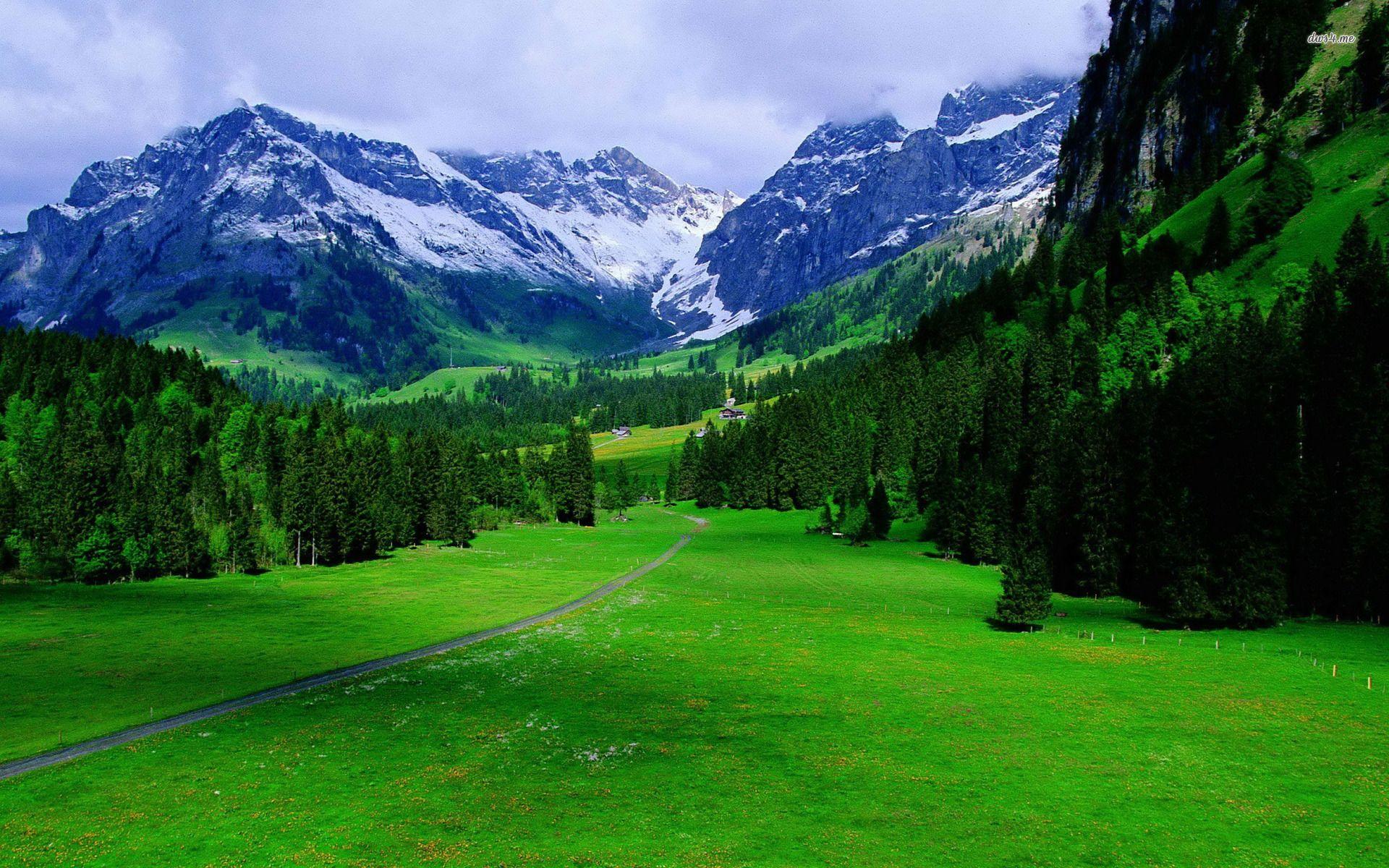 1920x1200 Switzerland Wallpaper Nature Wallpaper HD HD Wallpaper