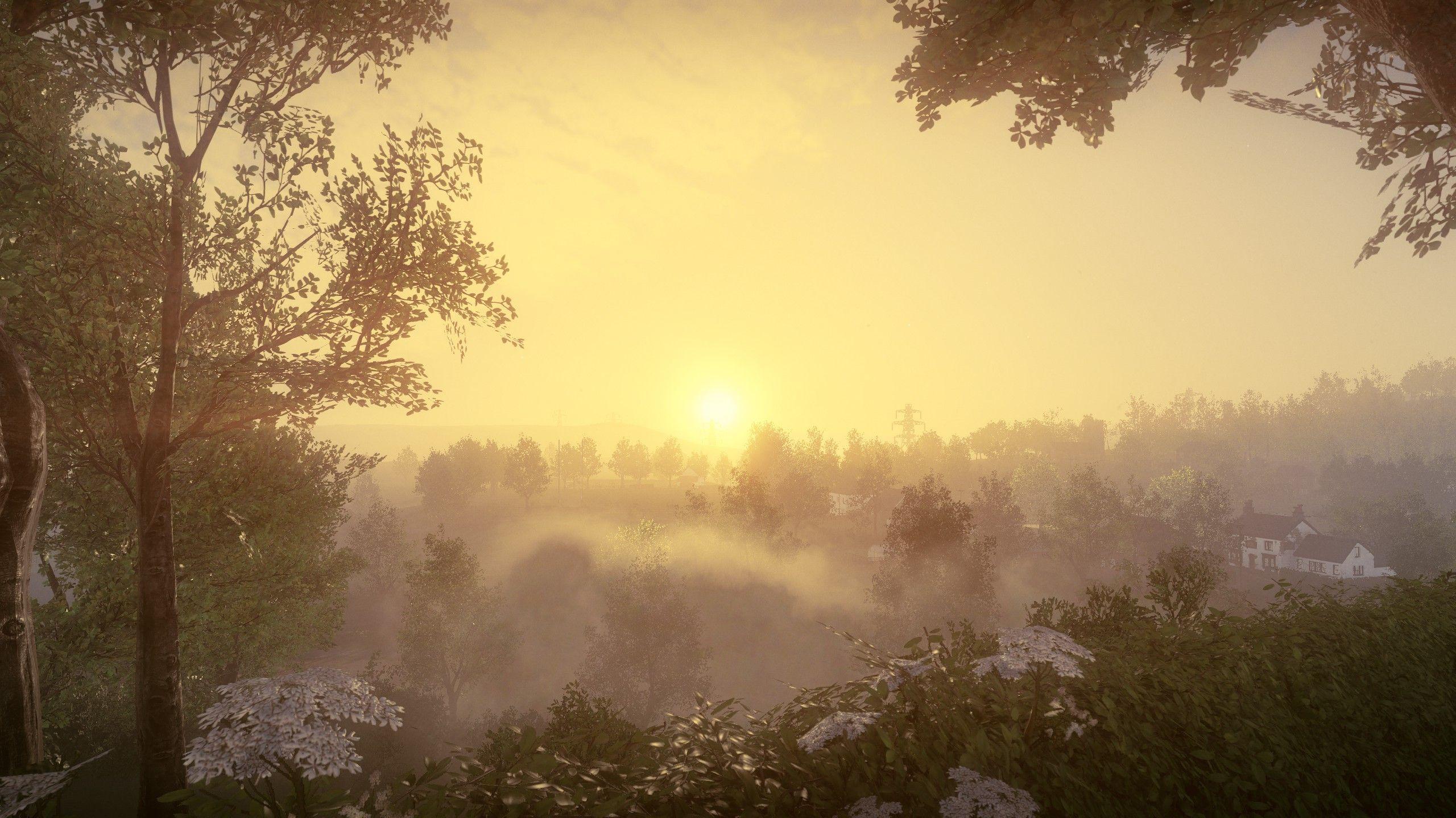 everybody s gone to the rapture download free
