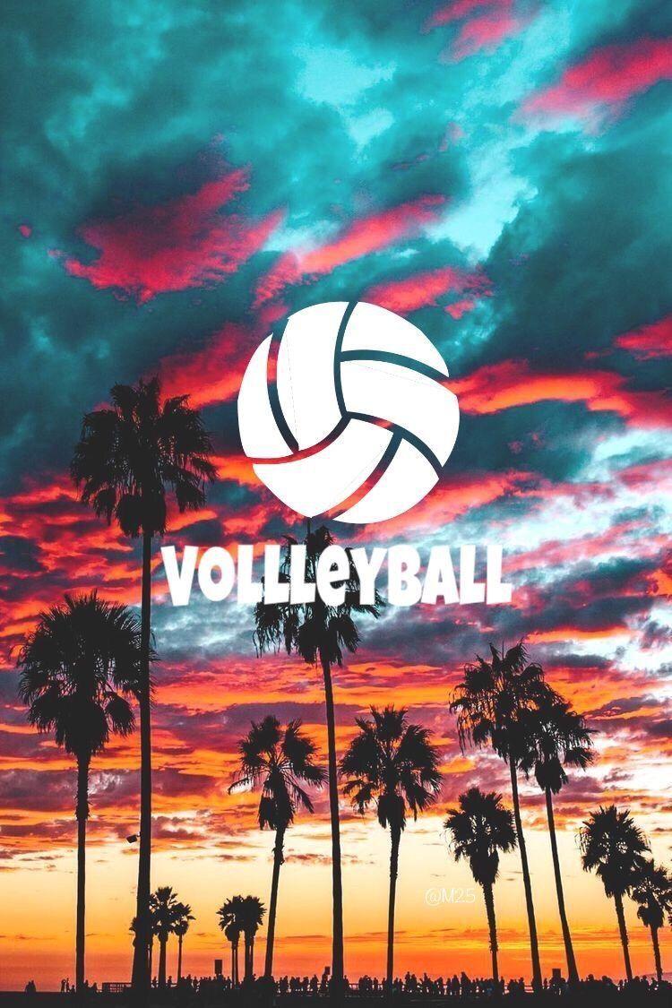 Volleyball Aesthetic Collage