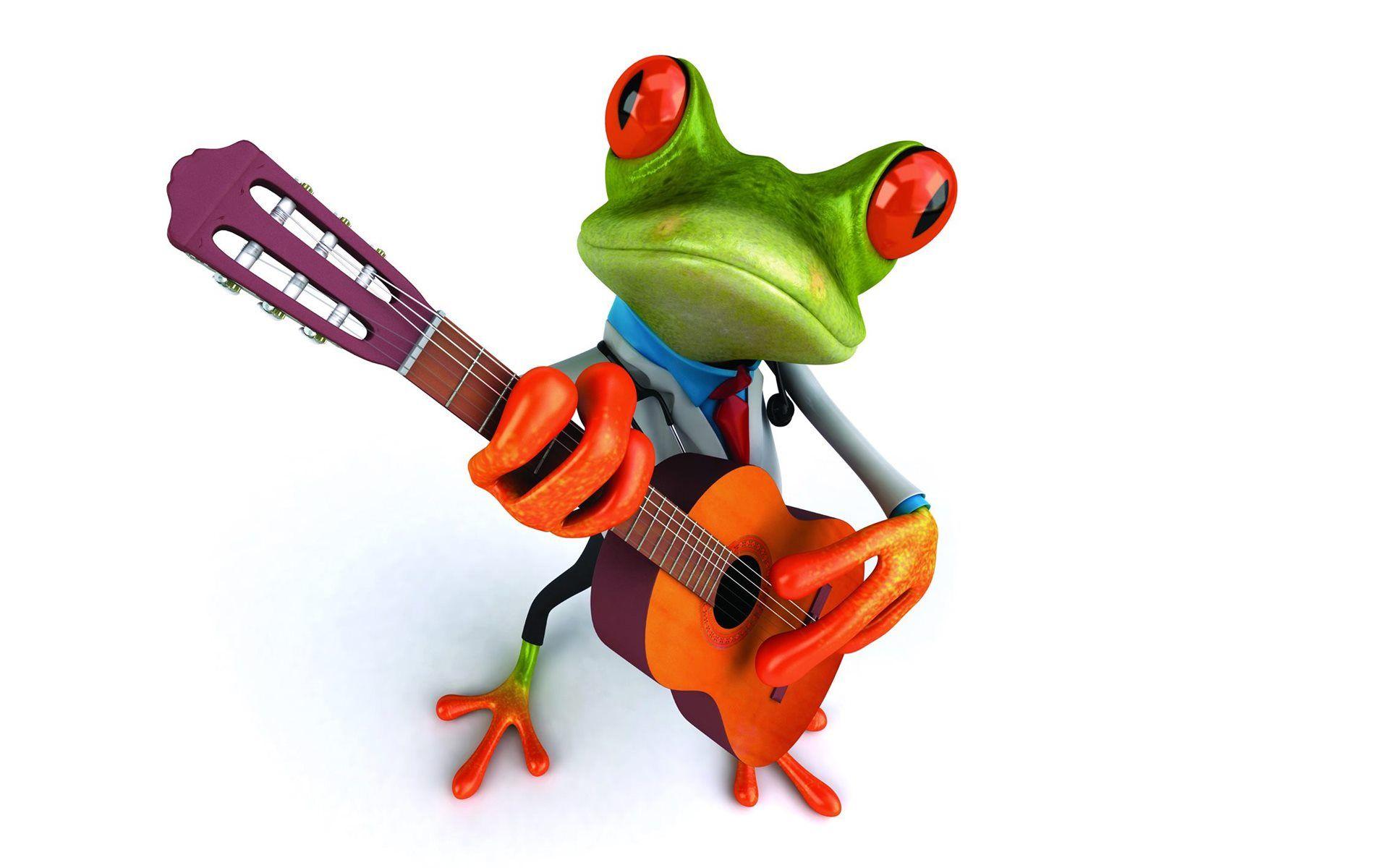 1920x1200 Funny Frog Playing Guitar HD Wallpaper
