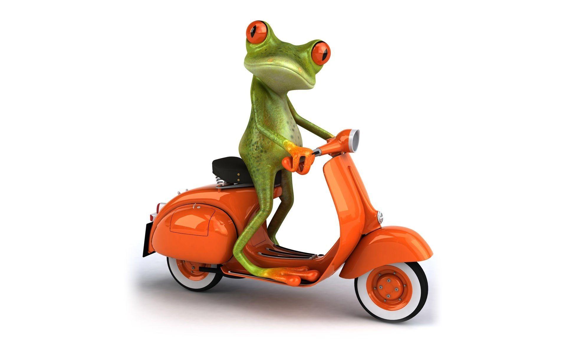 1920x1200 Free download Cartoon frog drive scooter funny wallpaper HD Wallpaper Rocks [1920x1200] for your Desktop, Mobile & Tablet. Explore Cartoon Frog Desktop Wallpaper. Tree Frog Wallpaper, Animated Frog Wallpaper