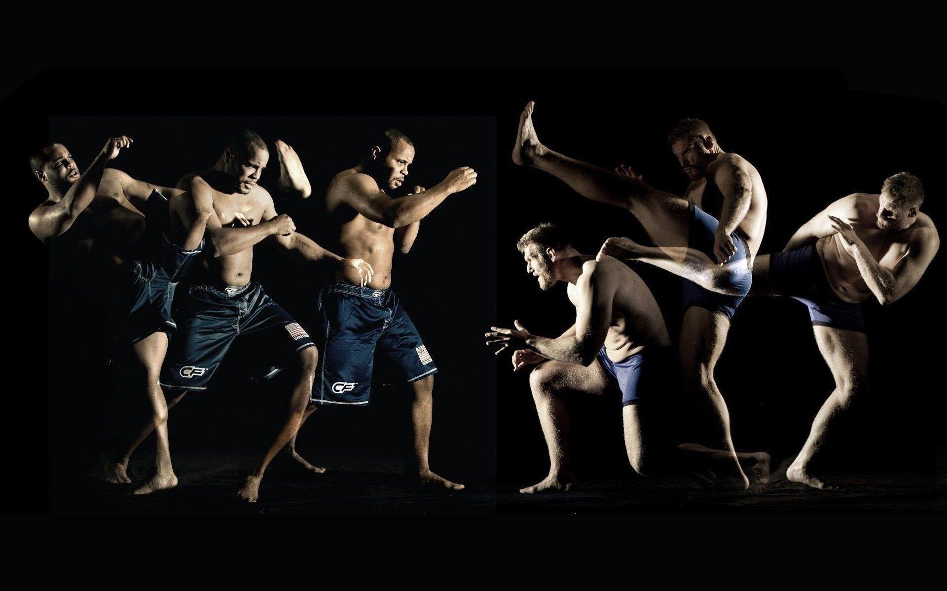 1920x1200 Mixed Martial Arts Wallpaper