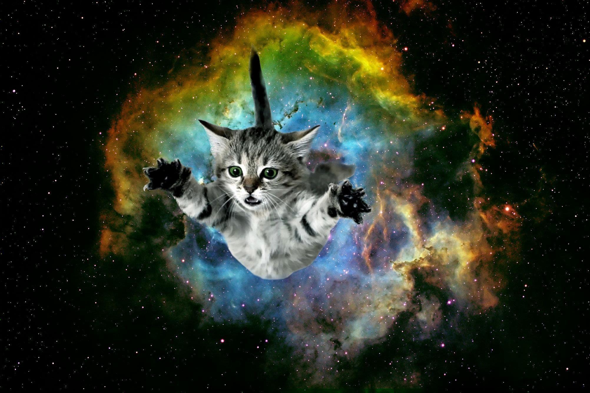 2004x1336 Awesome Galaxy Cat Wallpaper Of the Day