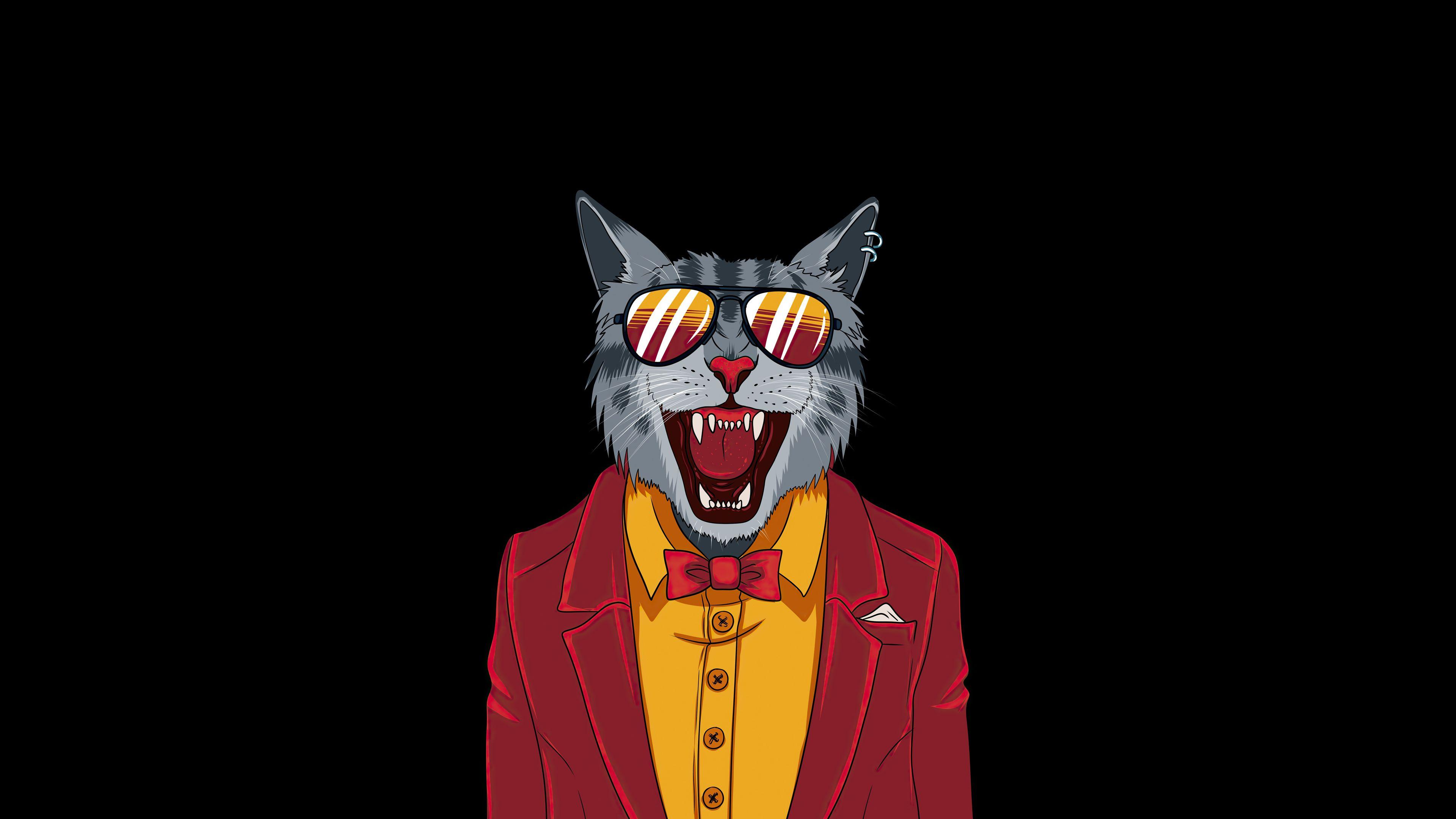 3840x2160 Cool Cat Minimal 4k Samsung Galaxy S S7 , Google Pixel XL , Nexus 6P , LG G5 HD 4k Wallpaper, Image, Background, Photo and Picture