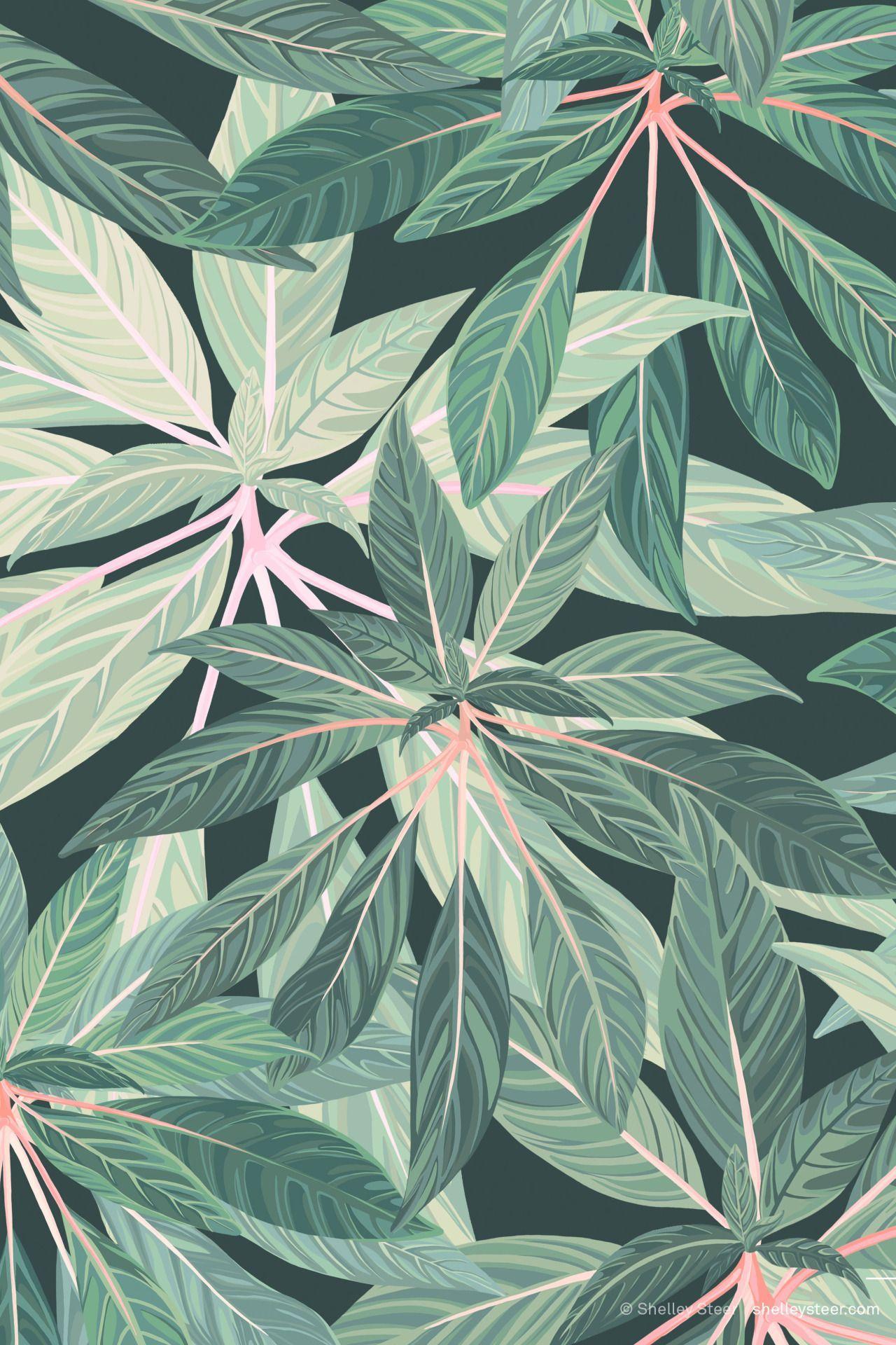 1280x1920 asideproj. Drawing wallpaper, Plant drawing, Tropical illustration