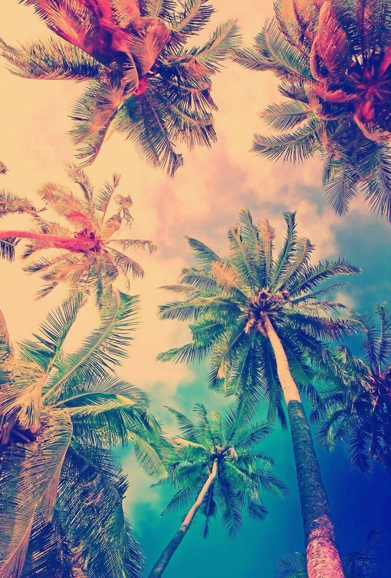 768x1134 wallpaper pixels wallpaper for your desktop, mobile or tablet device