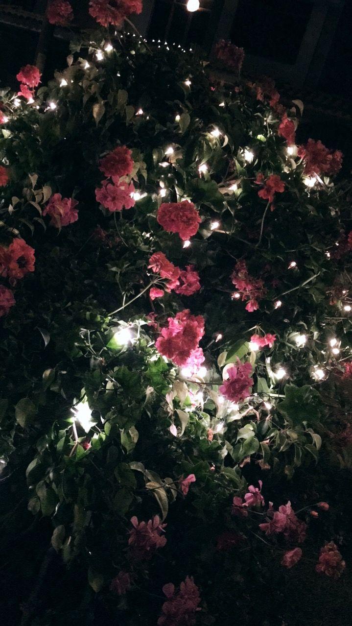 719x1278 Luces con flores. Blue flower wallpaper, Beautiful flowers wallpaper, Flower phone wallpaper