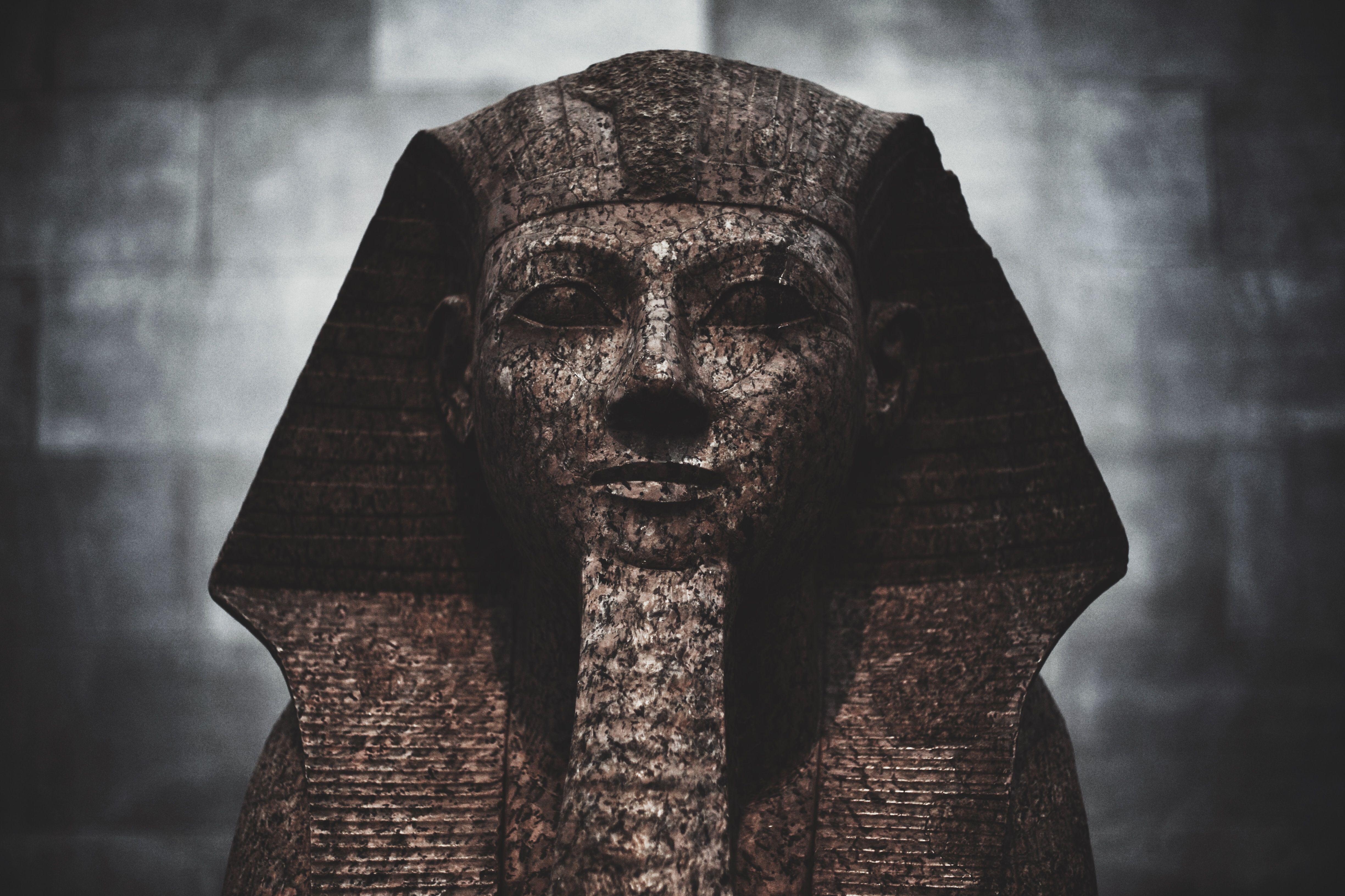 4897x3264 4897x3264 #dark, #museum, #architecture, #egypt, #history, #statue, #Free image, #marble, #sphinx, #pharao. Mocah.org HD Wallpaper