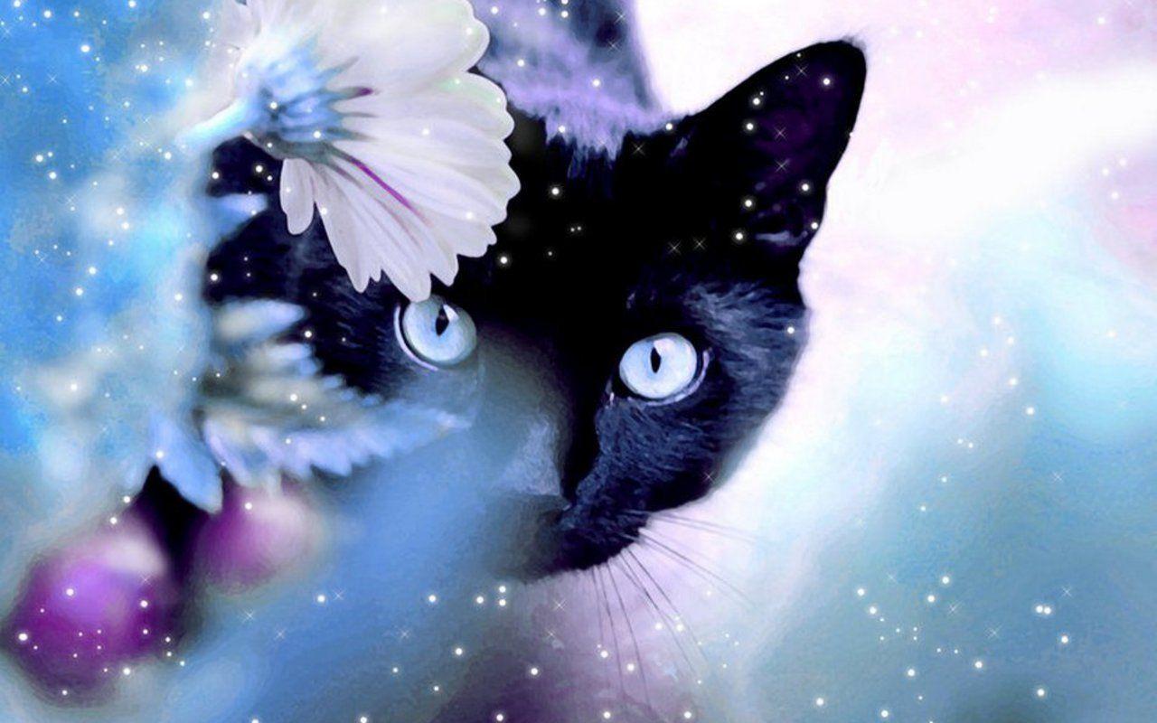 1280x800 Free download Cats image Beautiful Cat HD wallpaper and background photo 16095933 [1280x800] for your Desktop, Mobile & Tablet. Explore Black Kitten Wallpaper. Cute Kitten Picture Wallpaper, Kitten Wallpaper