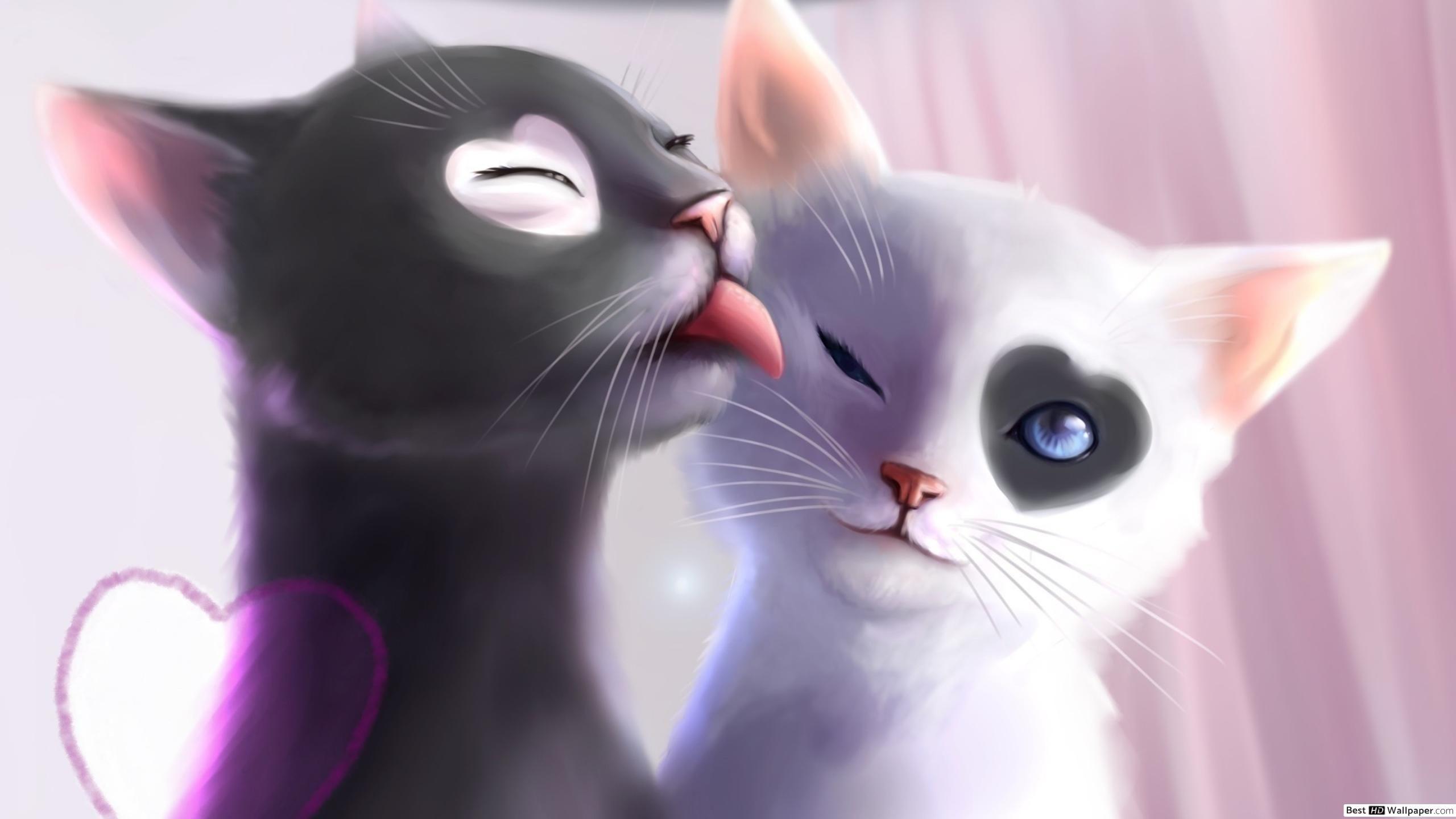 2560x1440 Black and White Cat Romance HD wallpaper download