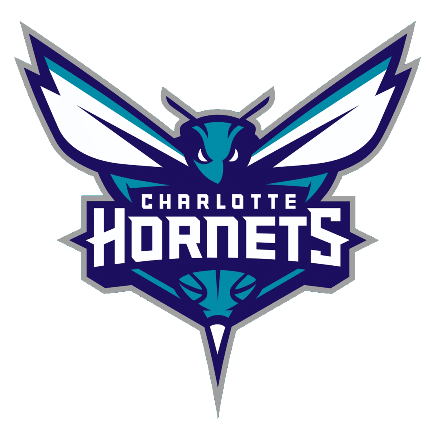 1500x1500 Charlotte Hornets iPhone Wallpaper