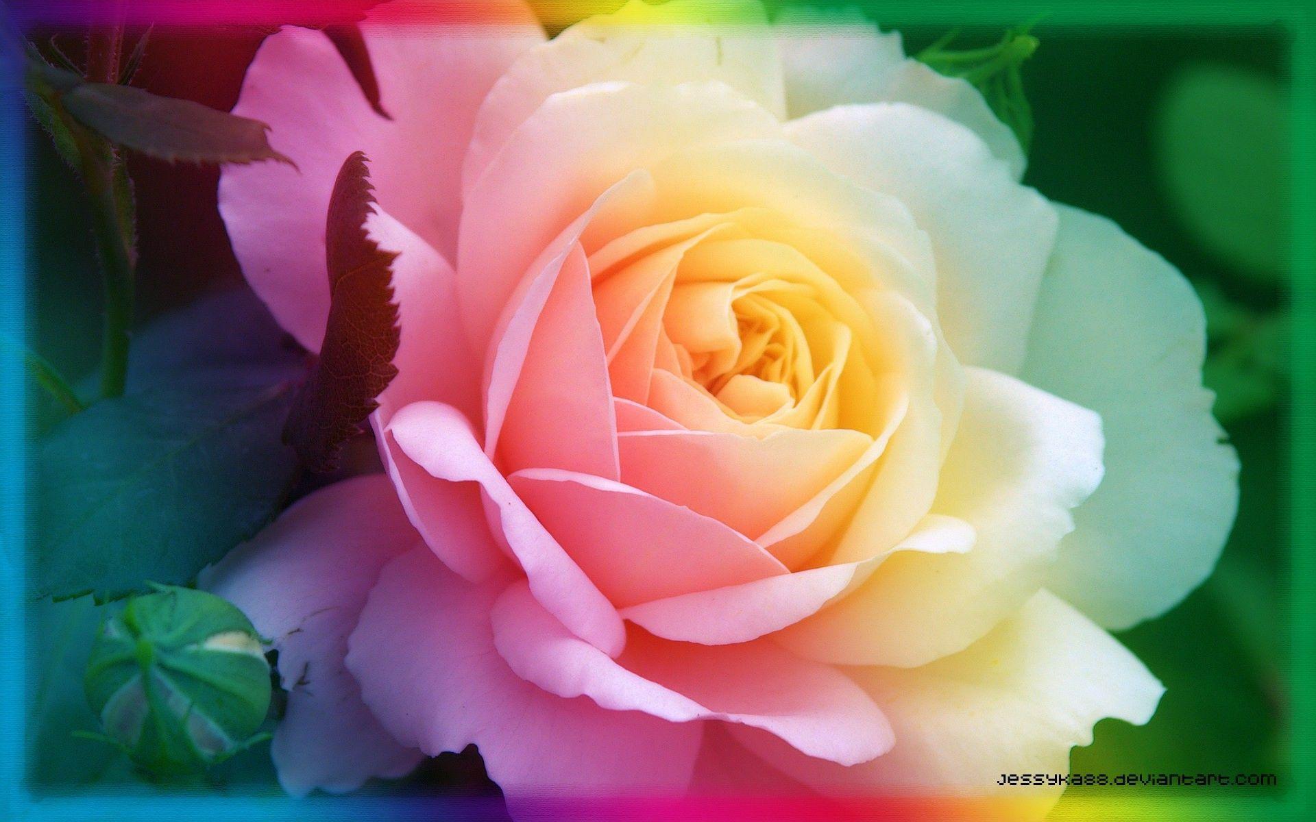 1920x1200 Cool Floral Wallpaper