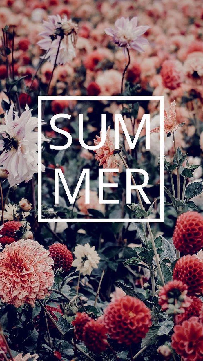 700x1244 cute wallpaper that will make you long for summer. Architecture, Design & Competitions Aggregator