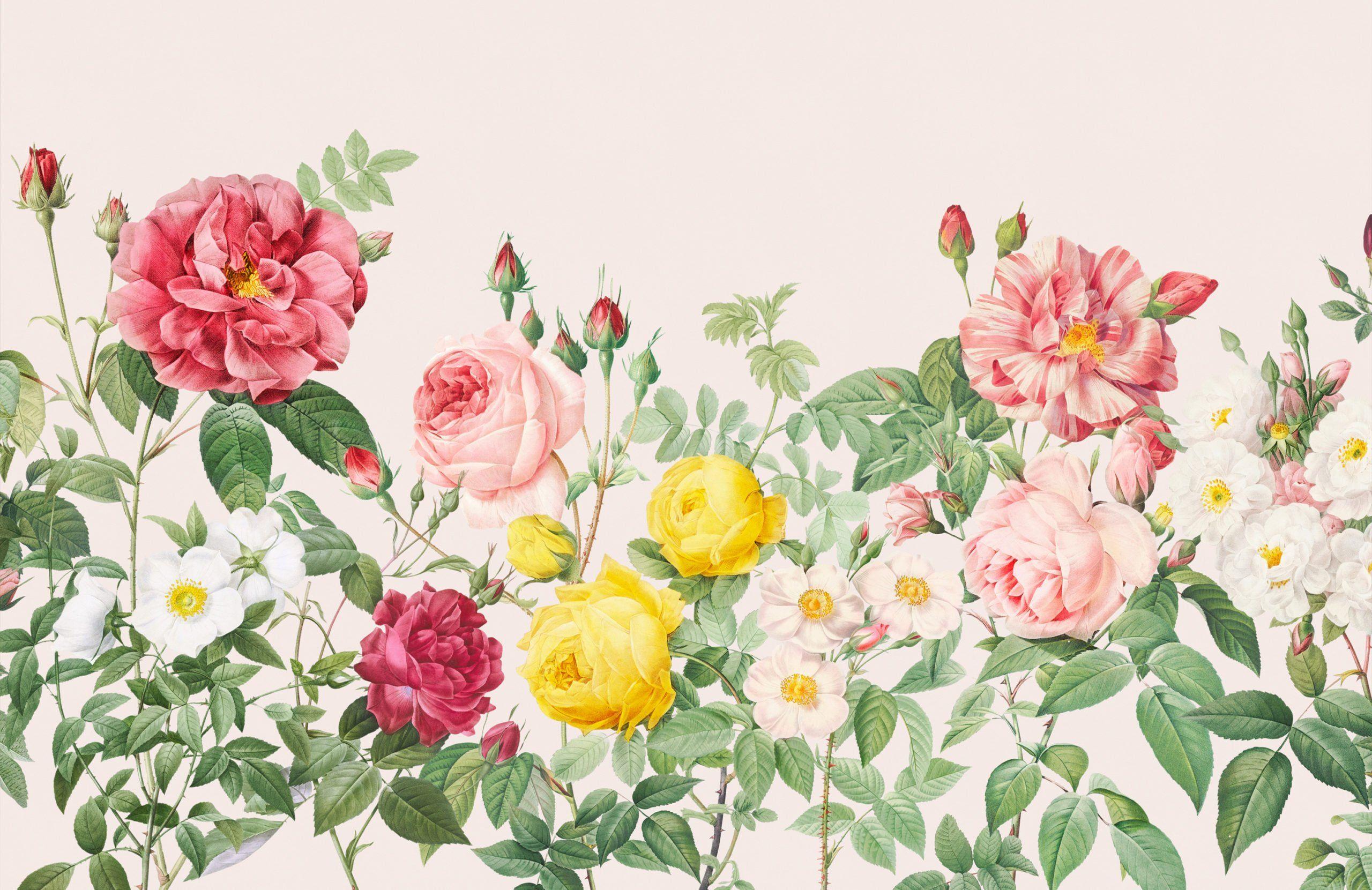 2560x1661 Pink Spring Flowers Vintage Floral Wallpaper Mural