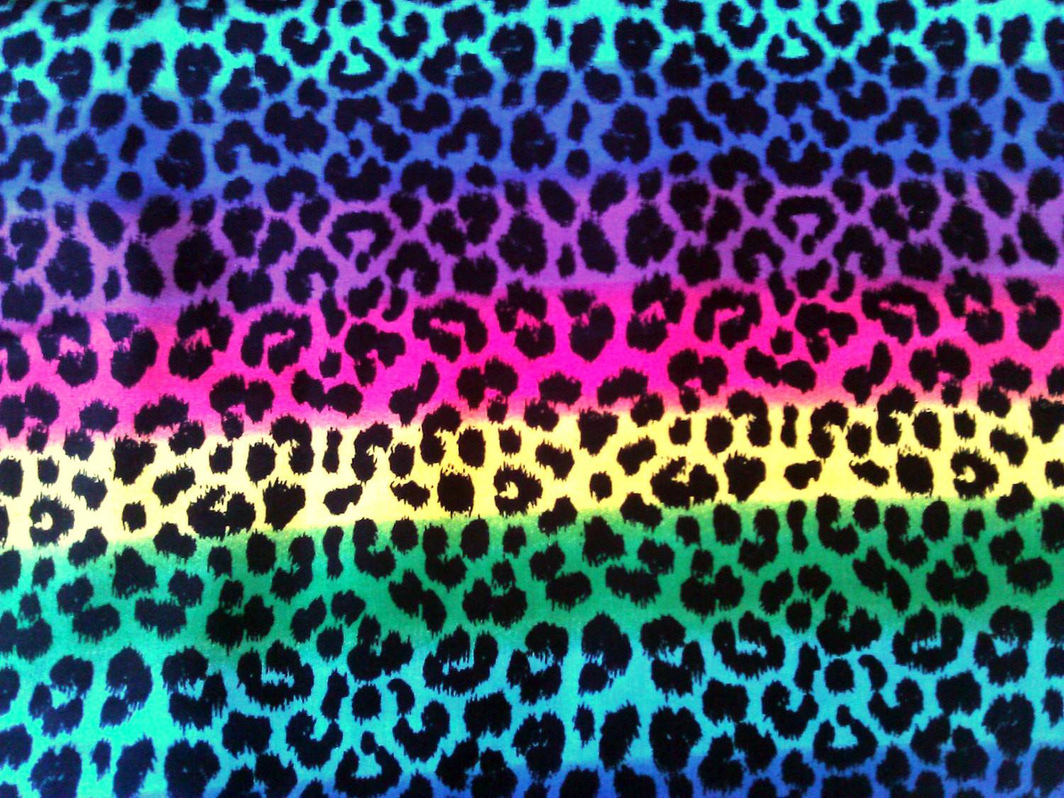 1500x1125 Neon Rainbow Animal Print Big Adventure
