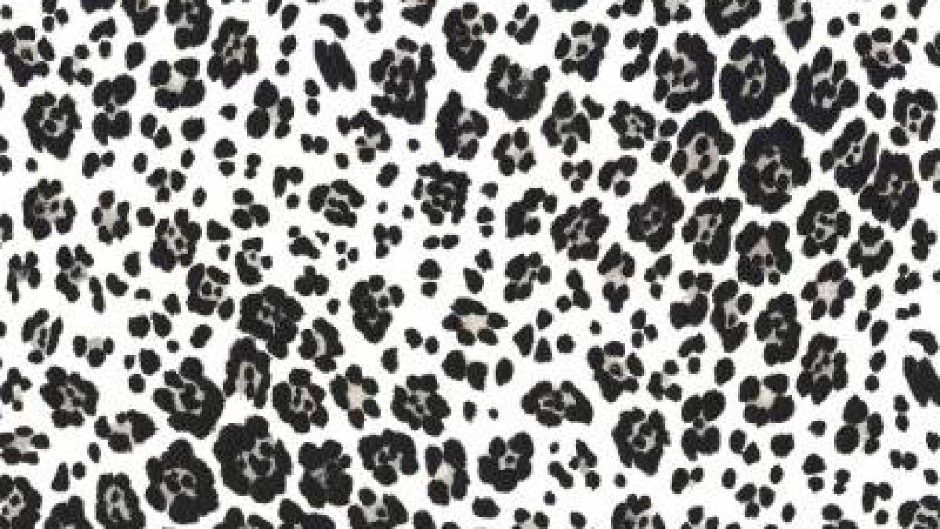 1920x1080 Cheetah Twitter Background. Pink Cheetah Wallpaper, Sweet Cheetah Print Wallpaper and Rainbow Cheetah Wallpaper