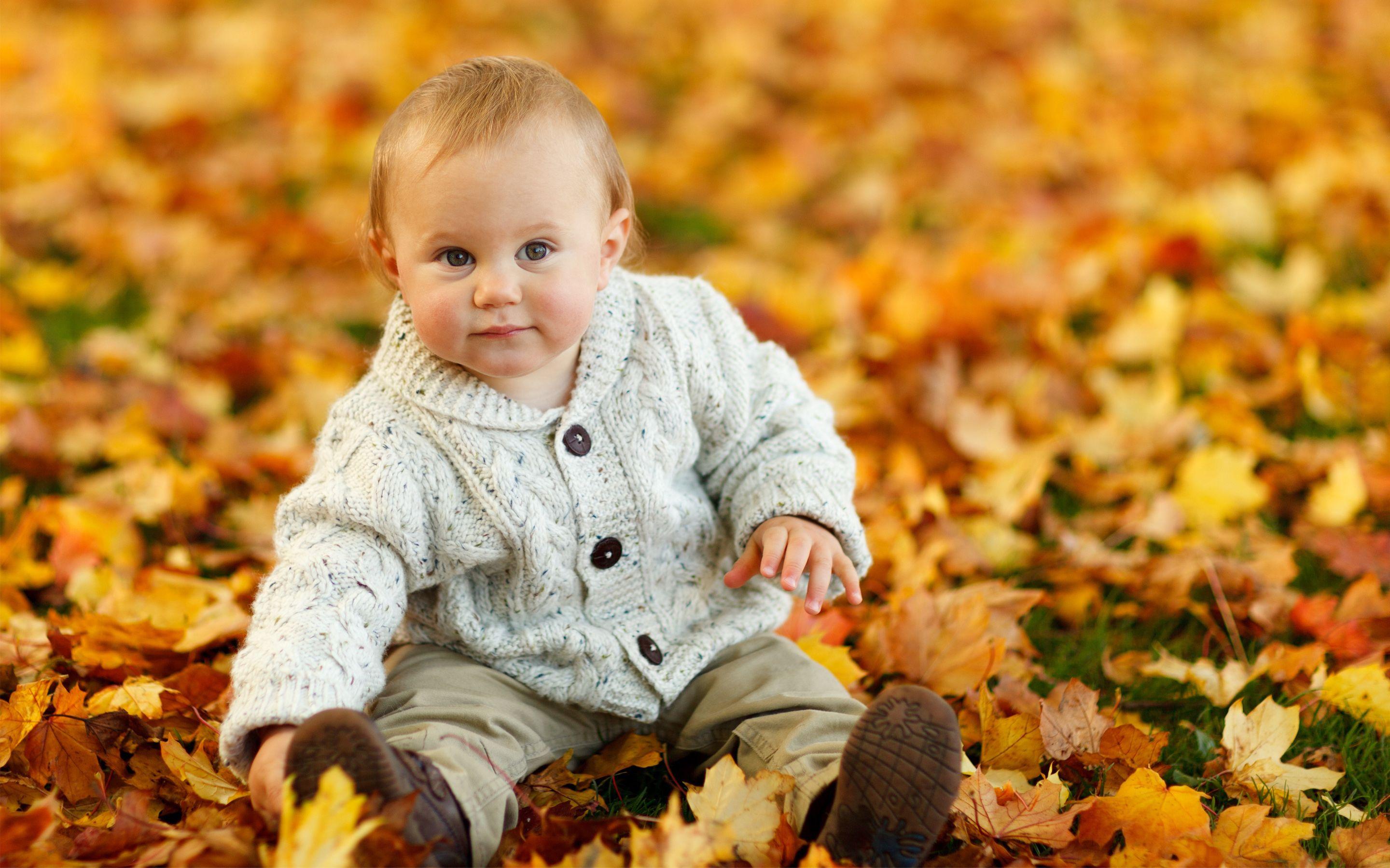 2880x1800 Cute Baby Boy Autumn Leaves Wallpaper Download Resolution 4K Wallpaper