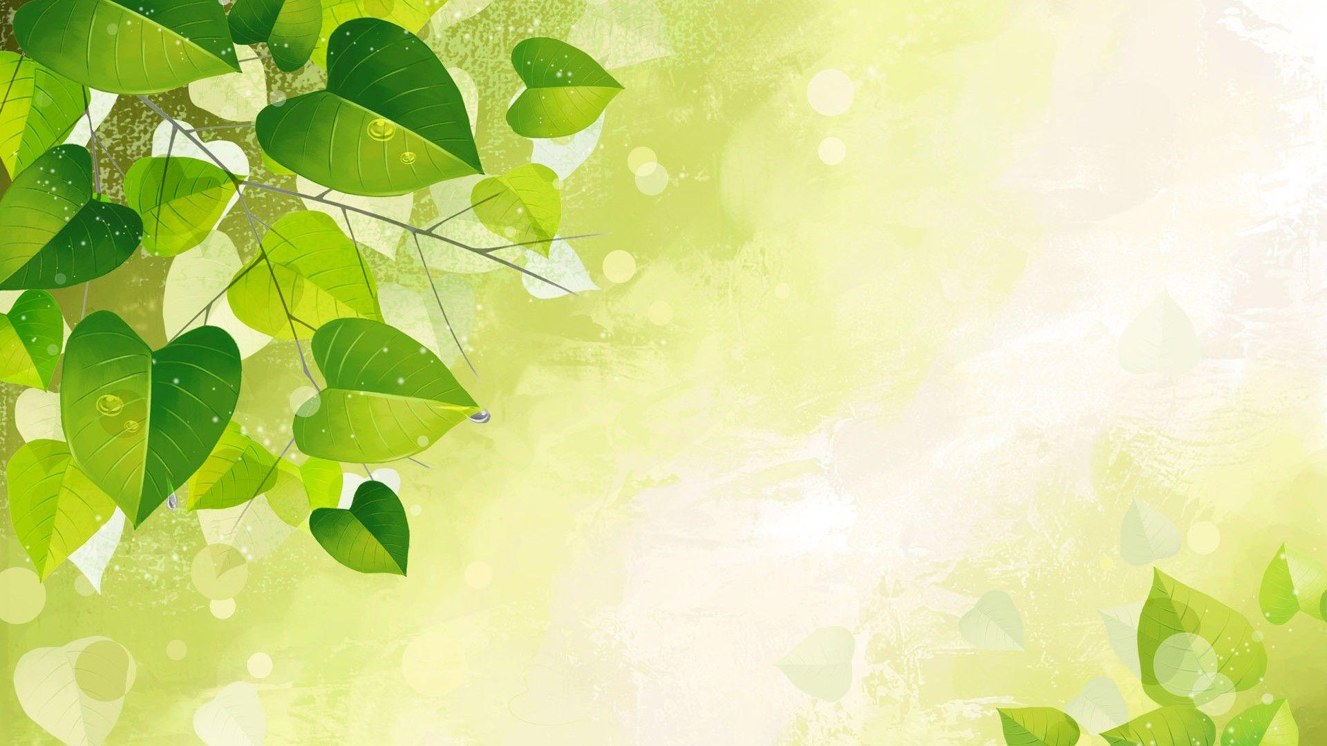 1920x1080 Best Green Leaf Wallpaper Cute Wallpaper