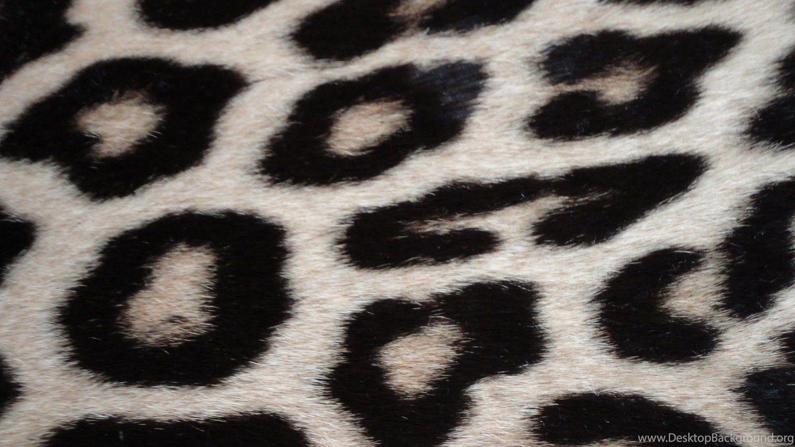 1600x900 Black And White Cheetah Print Background Wallpaper 81128 Desktop Background