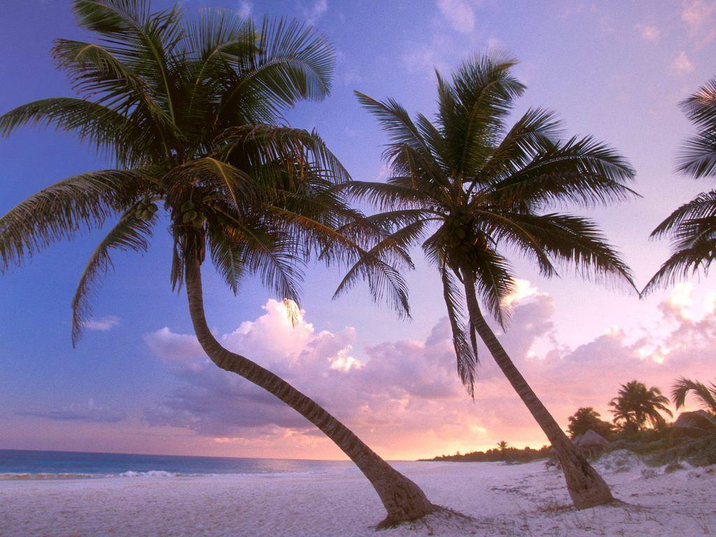 1024x768 Cancun Mexico. [Desktop wallpaper 1024x768]. Landscape Desktop Wp's