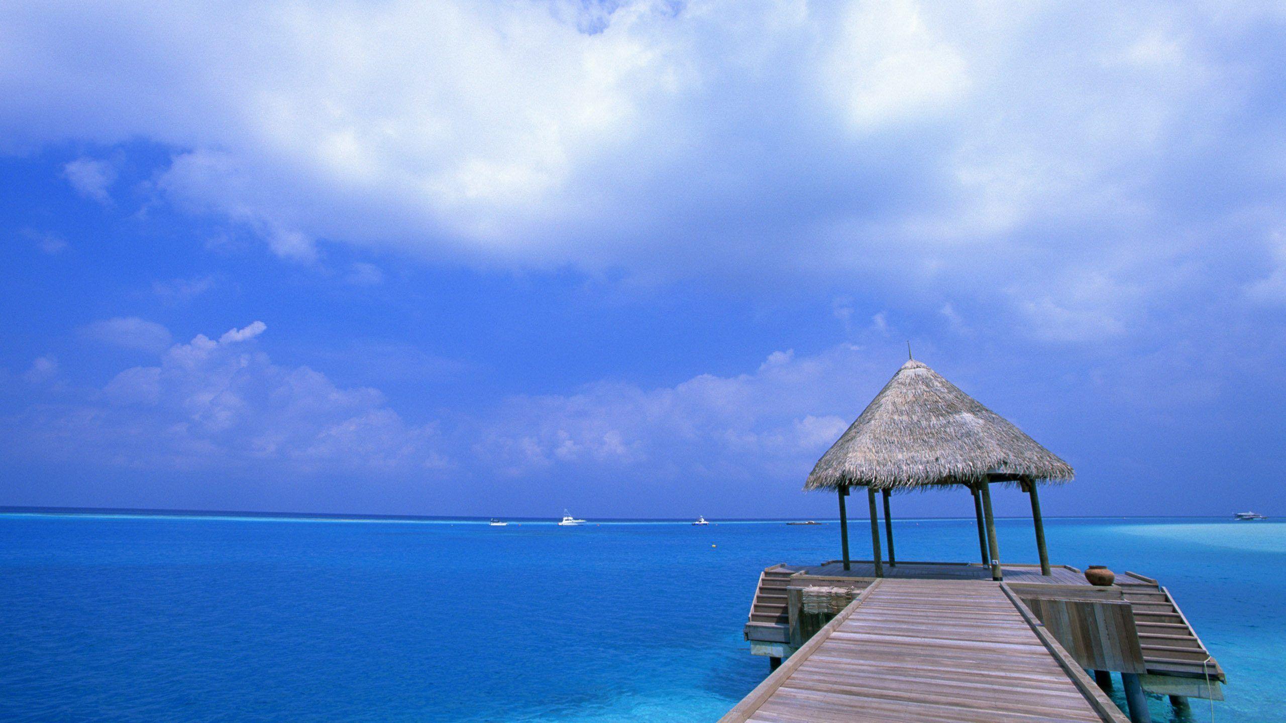2560x1440 High Quality HD desktop wallpaper : High Definition : Fullscreen