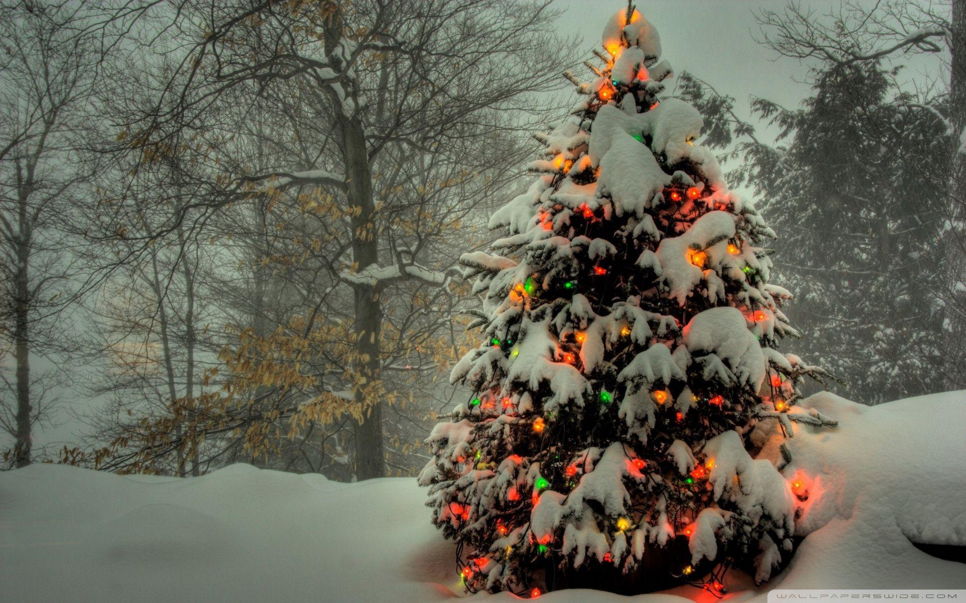 1920x1200 Best 4K Christmas Wallpaper for Windows 10