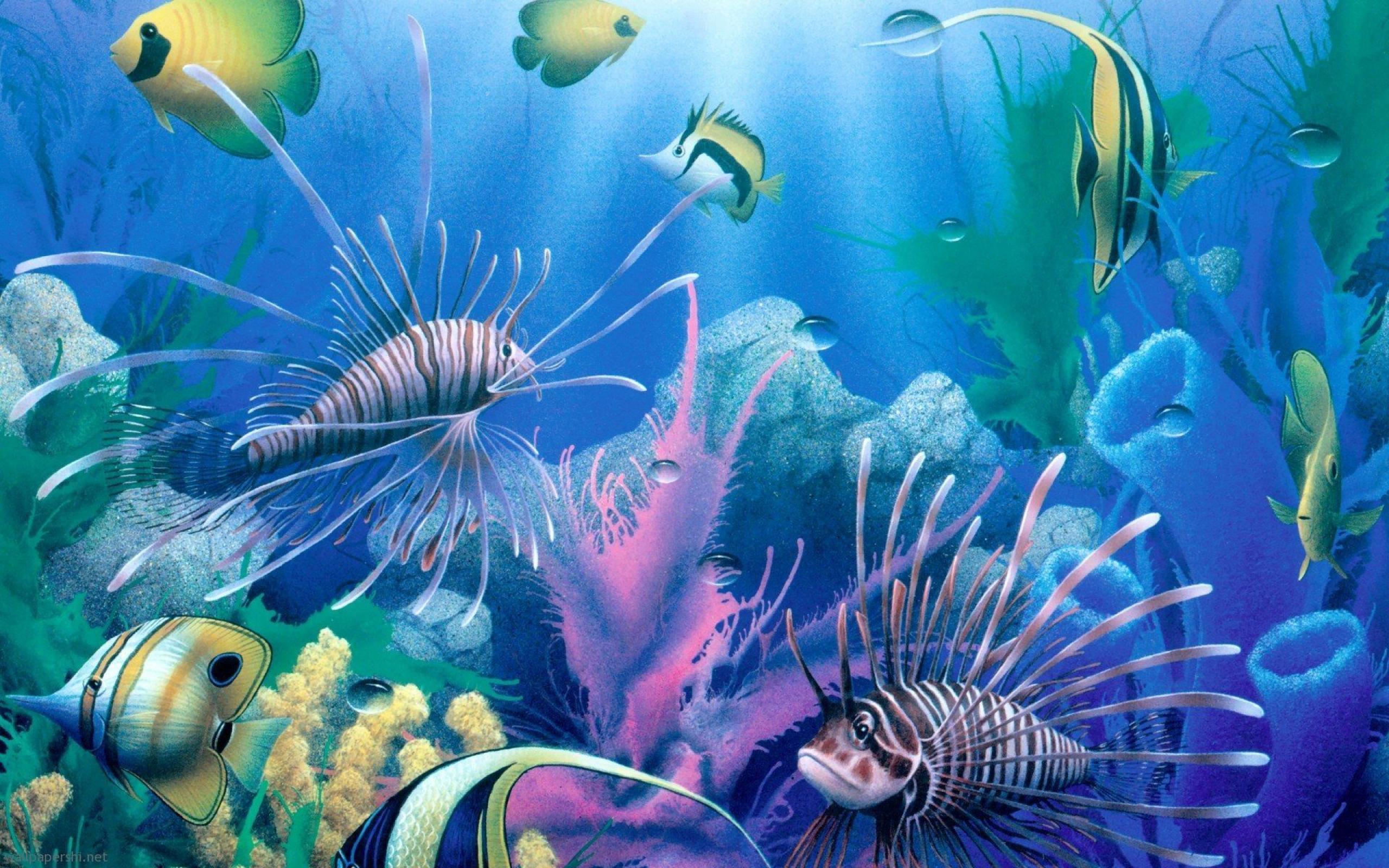 Animated Underwater Colorful Fishes Animated, HD wallpaper | Peakpx