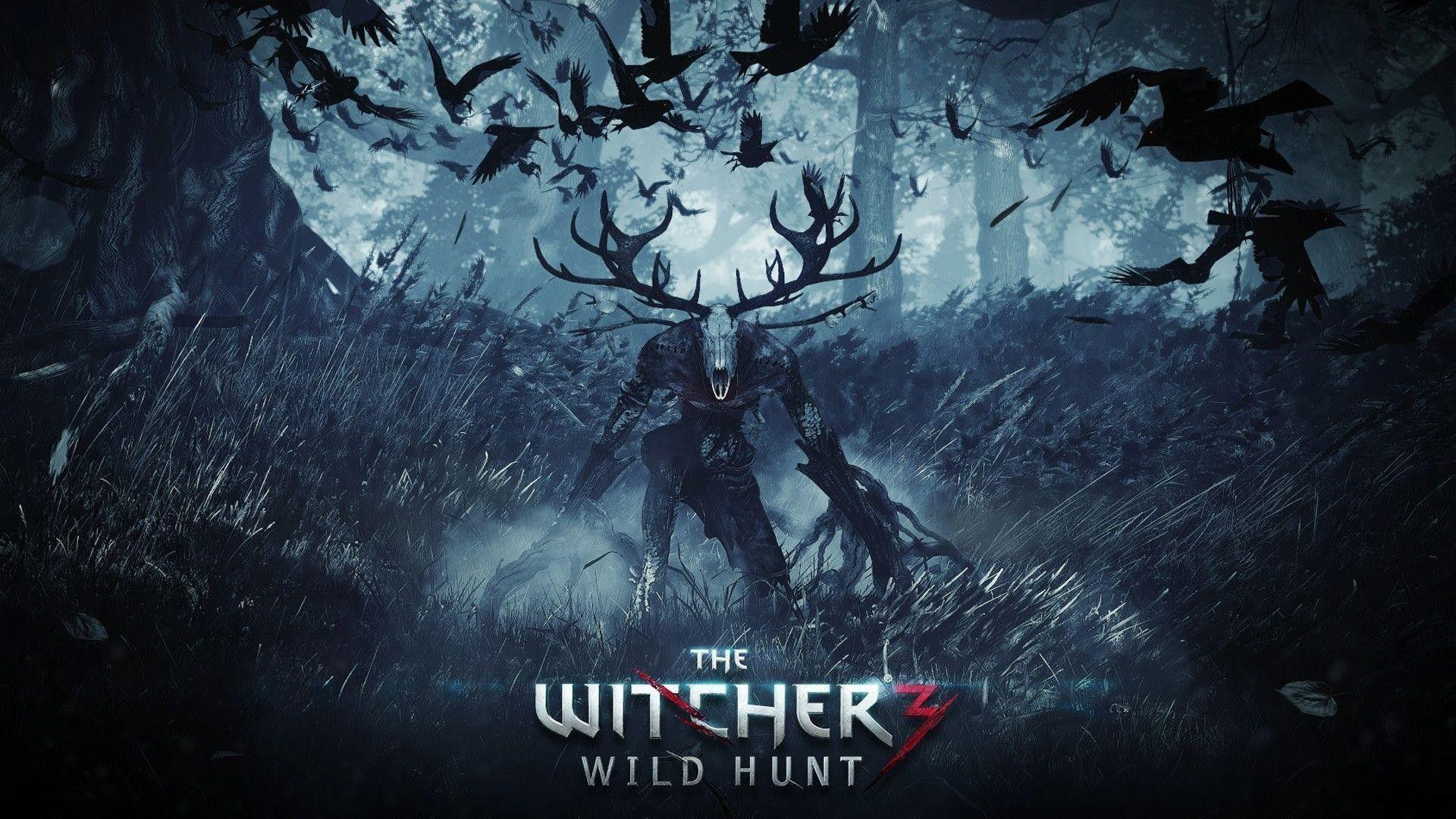 1920x1080 Witcher 3 Game Wallpaper Data Src Beautiful Gaming