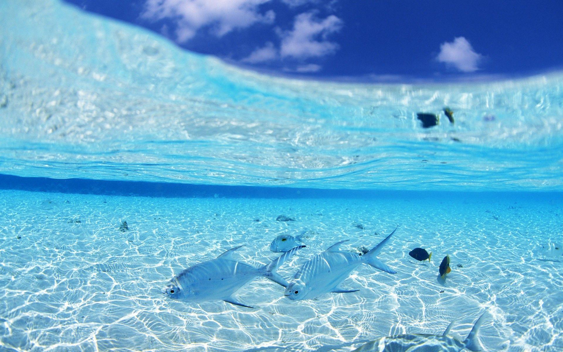 1920x1200 Nature Sea Wallpaper HD HD Wallpaper